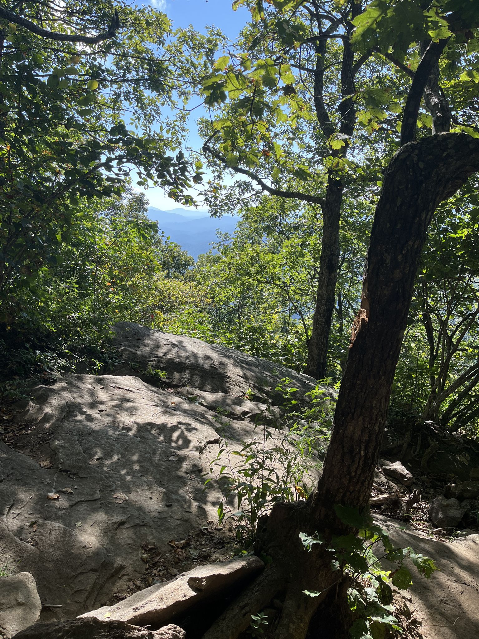 Sunlight filters through dense forest onto a rocky, winding path with distant mountains. - Appalachian Trail to Preachers Rock