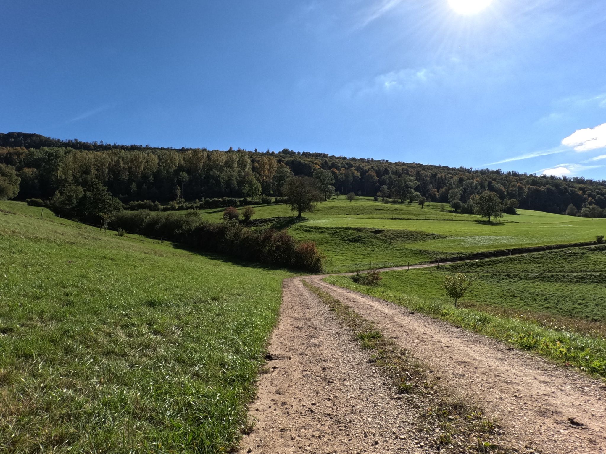 Höhtal