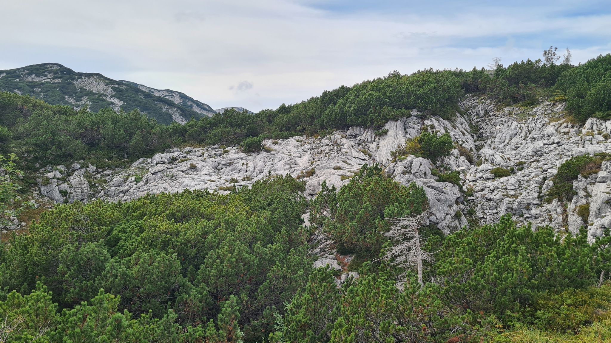Vergletscherung im Höllengebirge