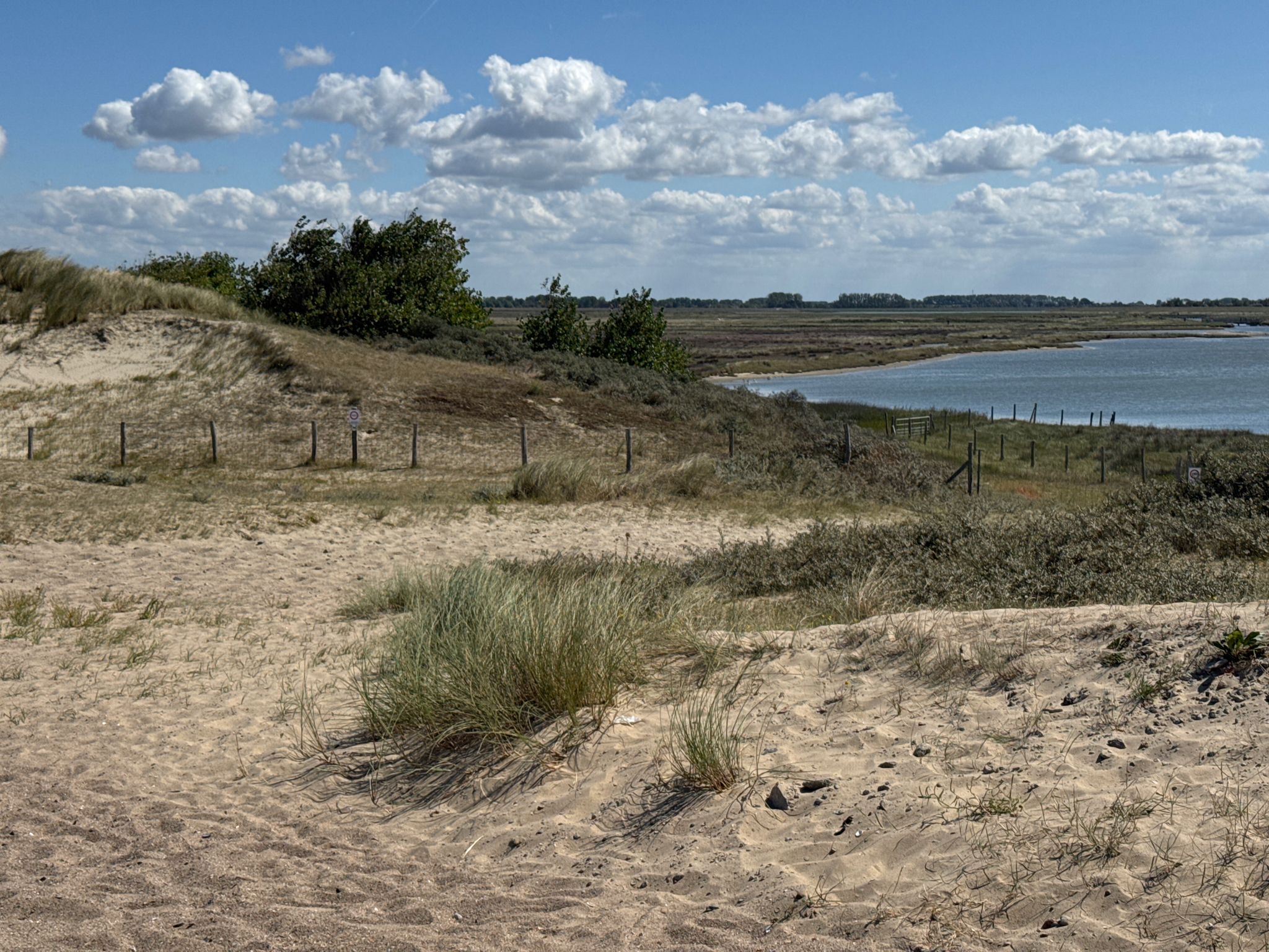 NSG Zwin/Knokke- Belgien