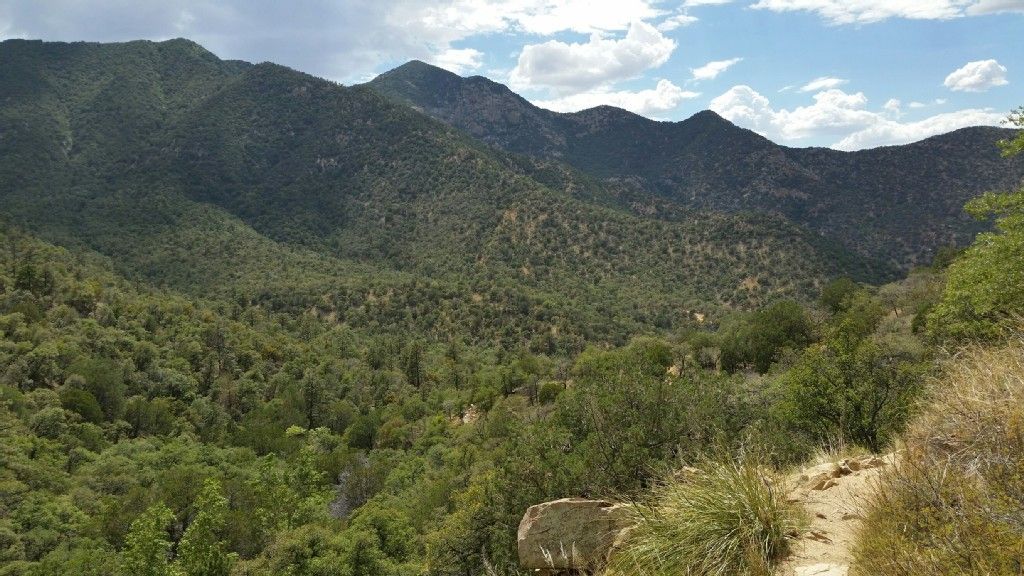 Lush green mountains and a forested valley under a partly cloudy sky. - Lower Old Baldy Trail – View from Lower Super Trail loop from Madera Canyon