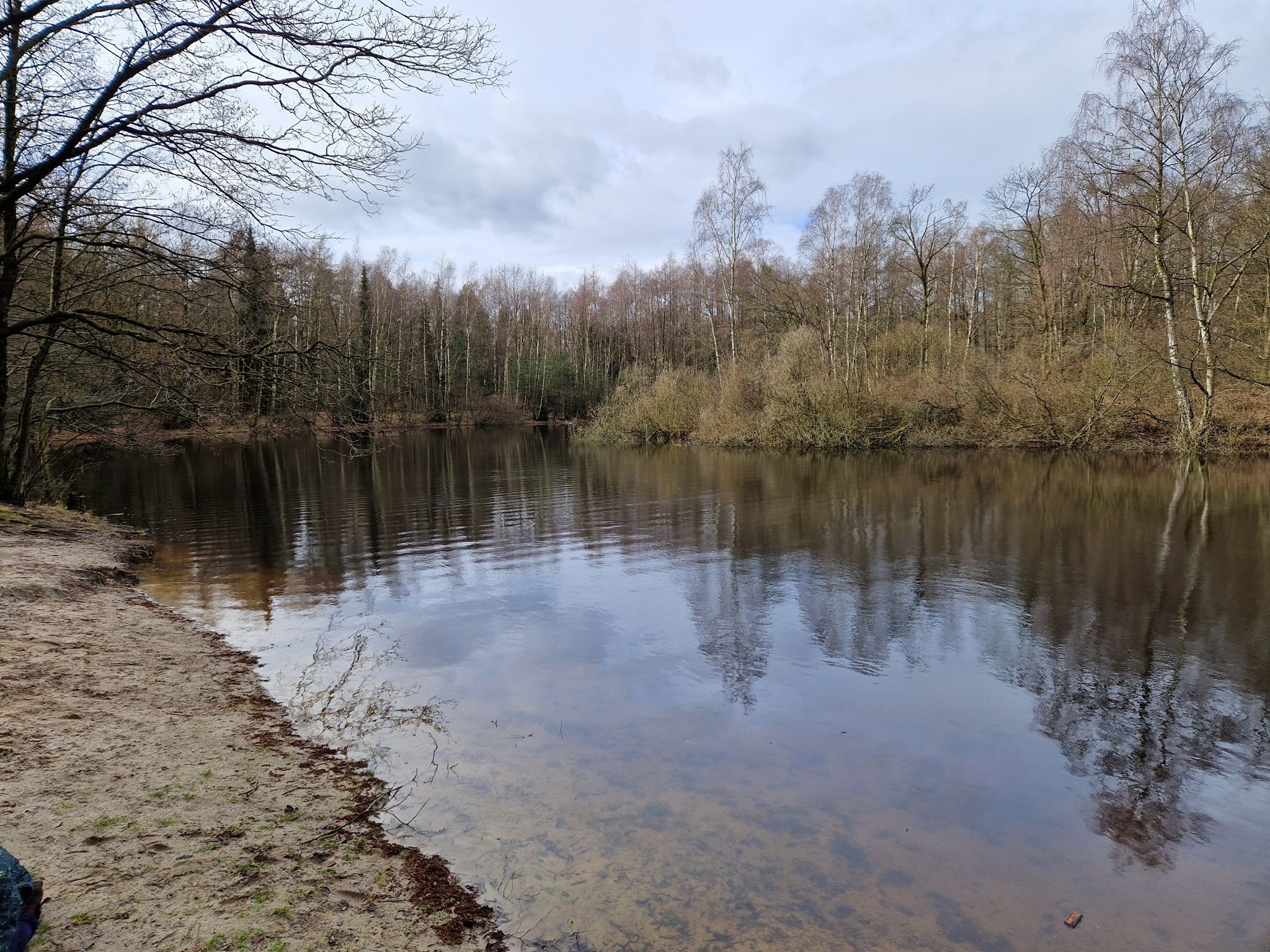 Seerosenteich im Beerbusch