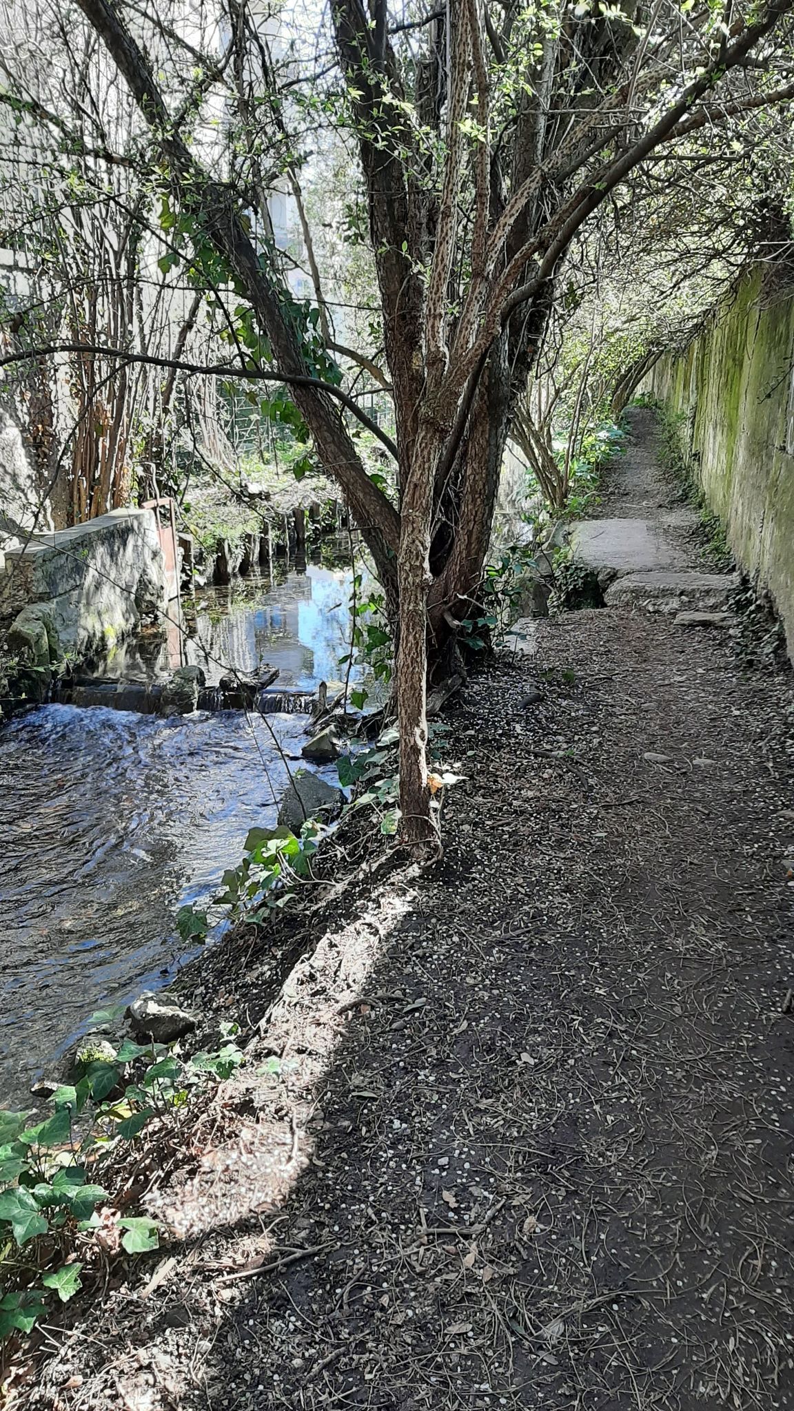 Ruisseau des Moulins