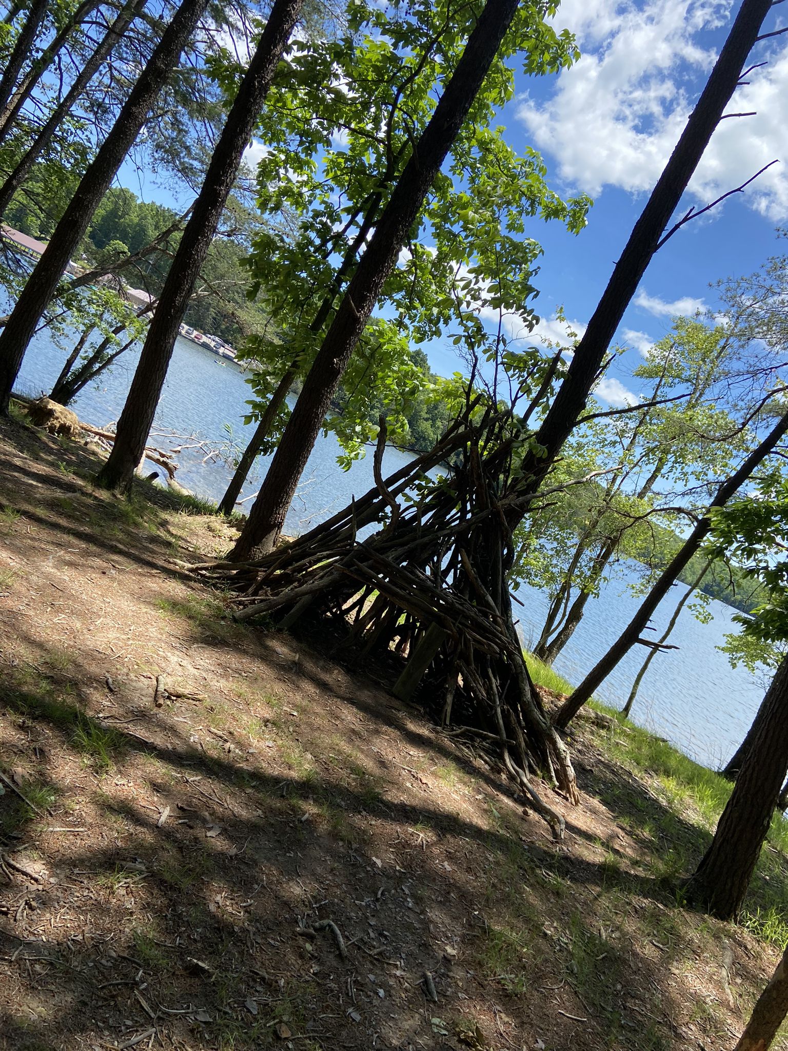 A stick fort on a sunny, forested bank next to a calm body of water. - Piney Creek Falls – Piney Creek Suspension Bridge loop from Fall Creek Falls Lake