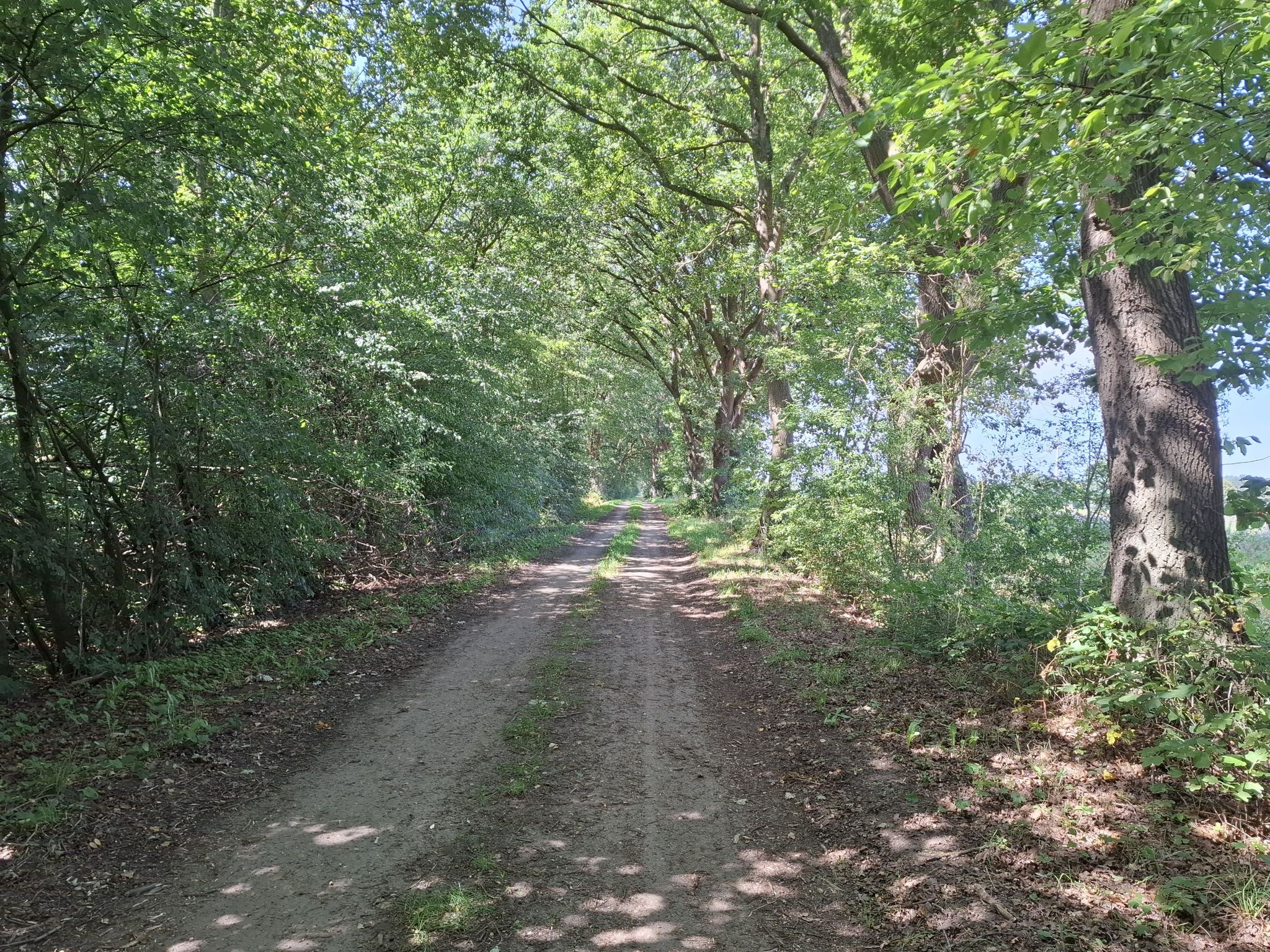 Weg in Tangendorf