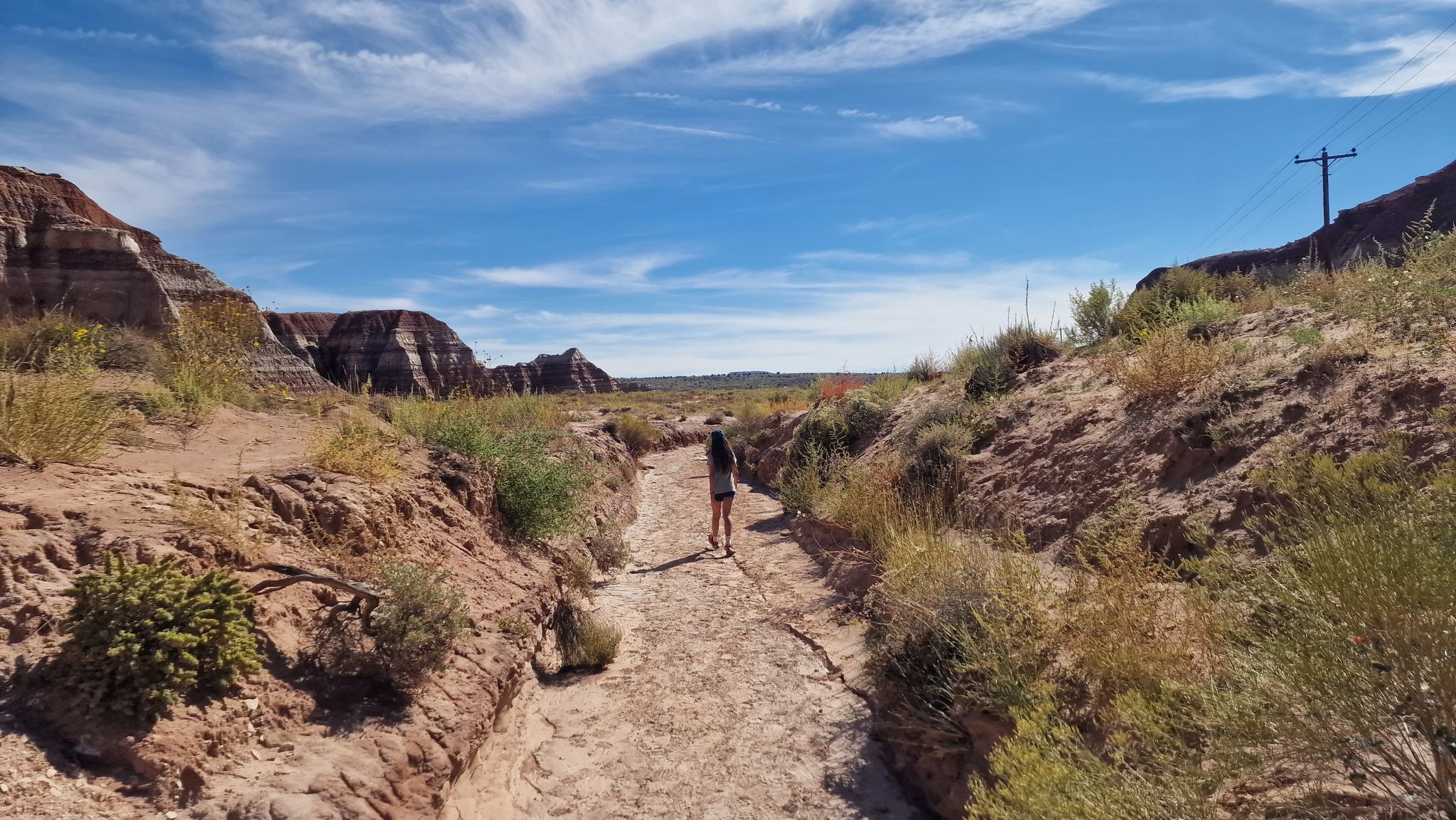 A person walks down a dry wash between colorful desert hills under a blue sky. - Toadstool Hoodoos Trail