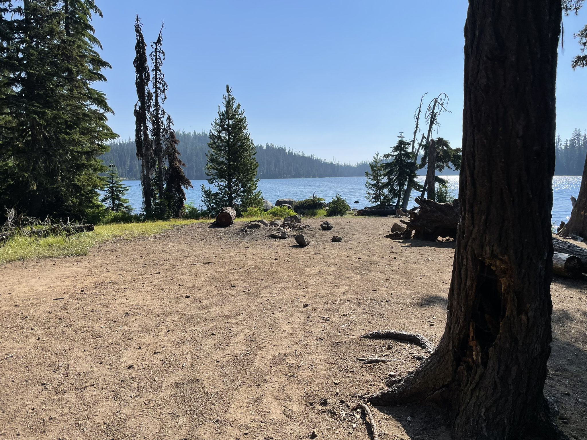 Sunny dirt clearing with a lake view, surrounded by tall evergreen trees. - Charlton & Lemish Lakes loop