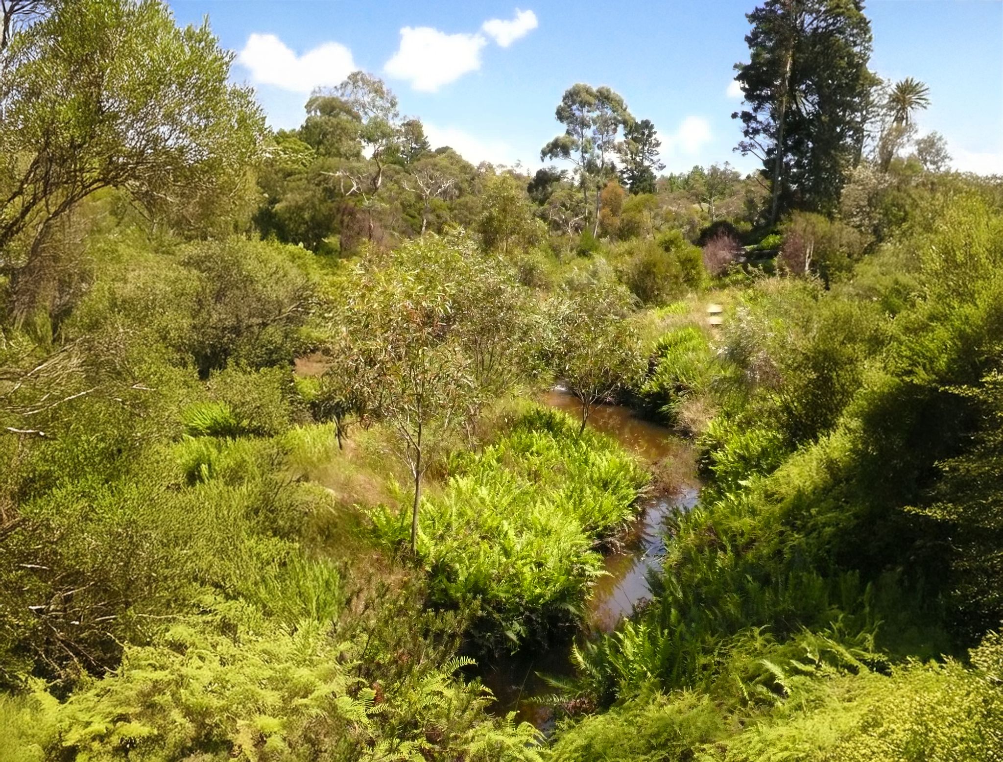 Jaimison Creek lieblich
