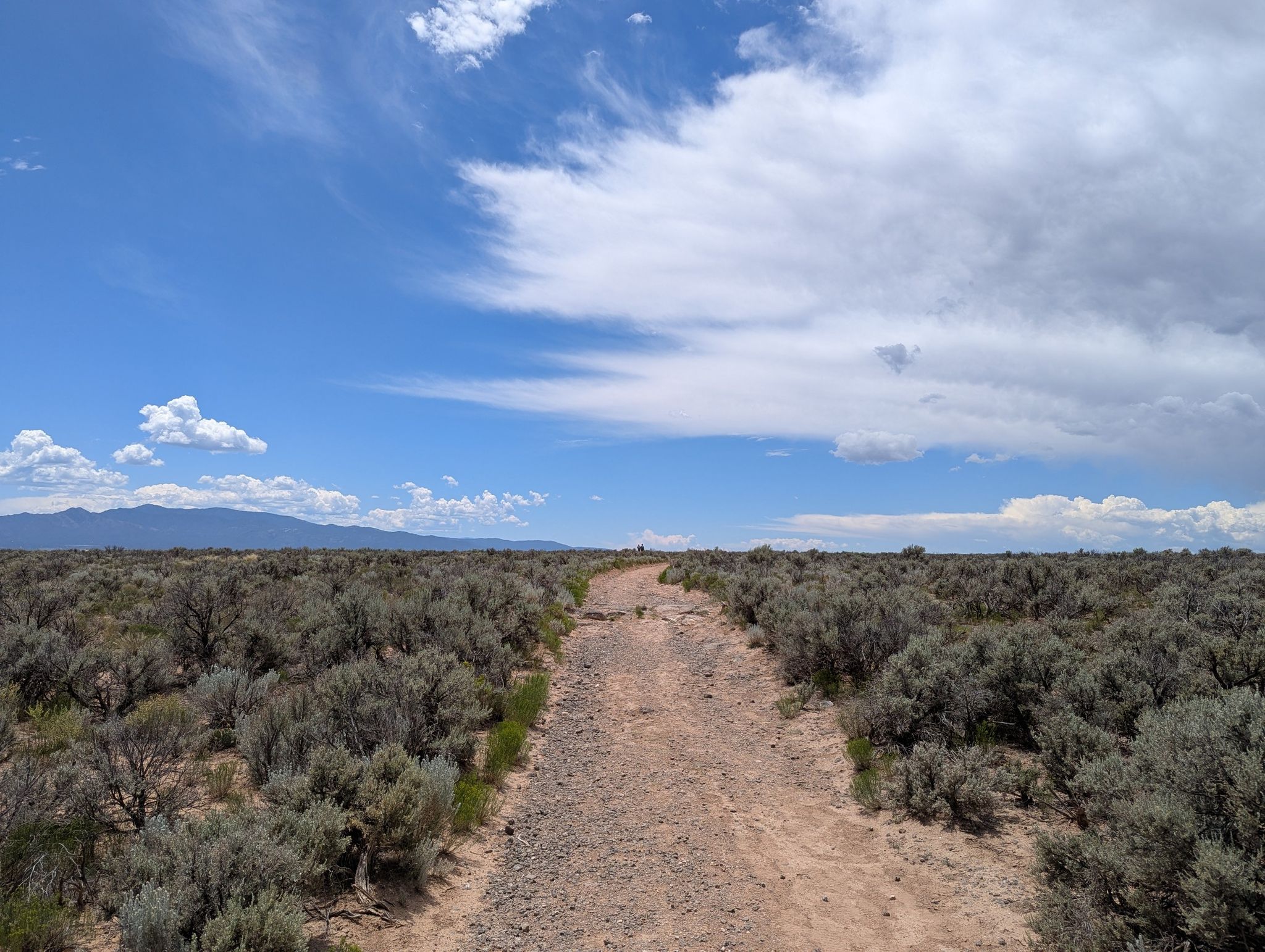 A dirt path winds through arid scrubland under a bright, cloudy sky. - West Rim Trail