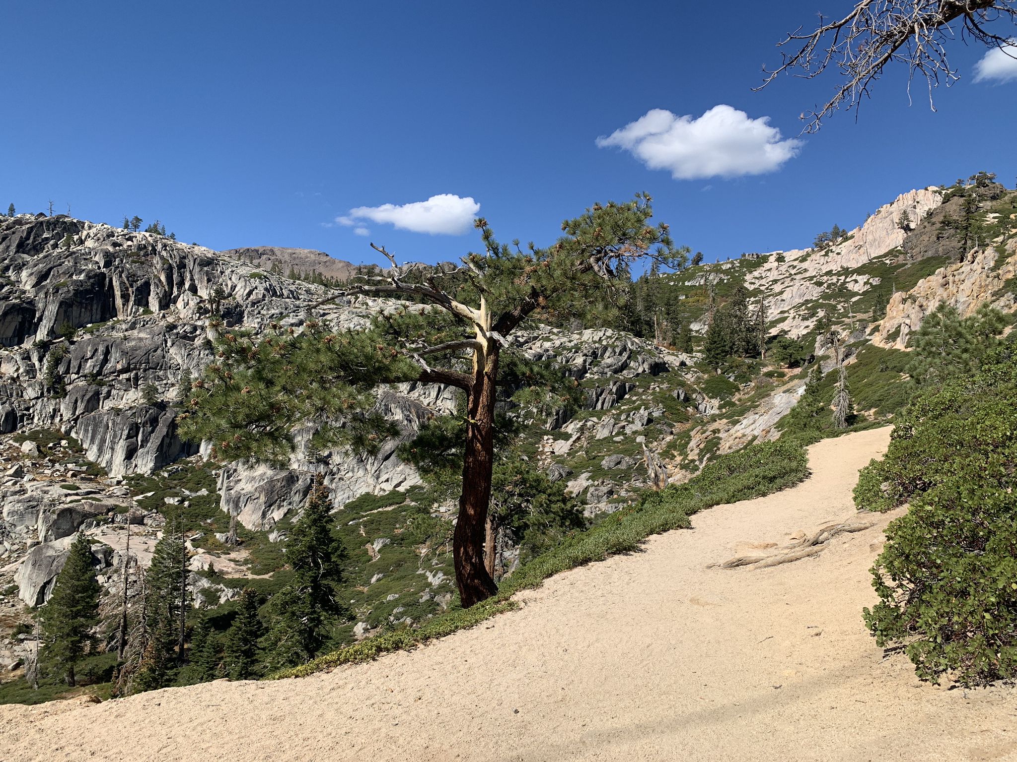 Sandy path winding up a rocky, forested hillside under a bright blue sky. - Five Lakes Trail