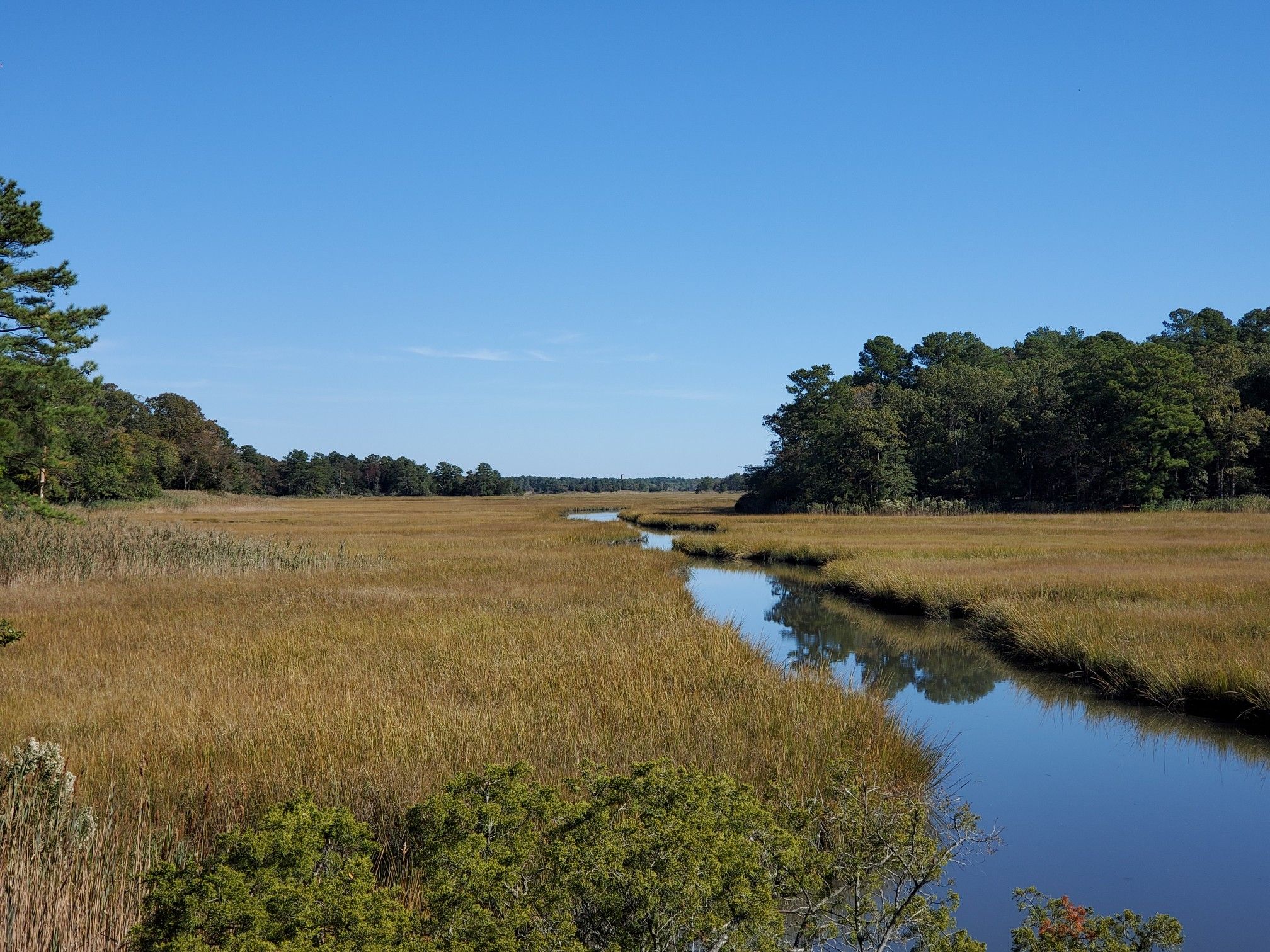 Winding river through golden marshland under a clear blue sky. - Junction & Breakwater Trail