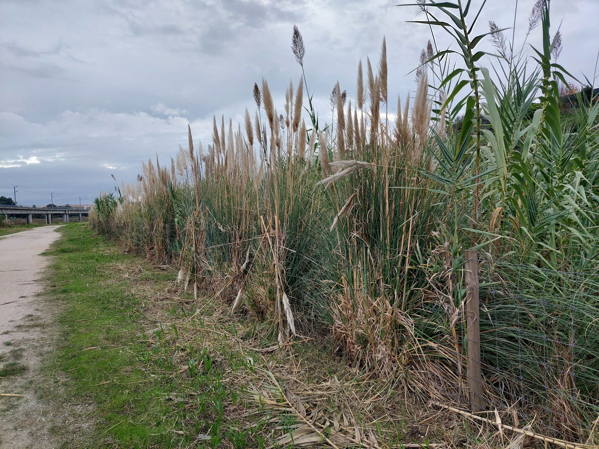 snelweg afgezetmet hekje