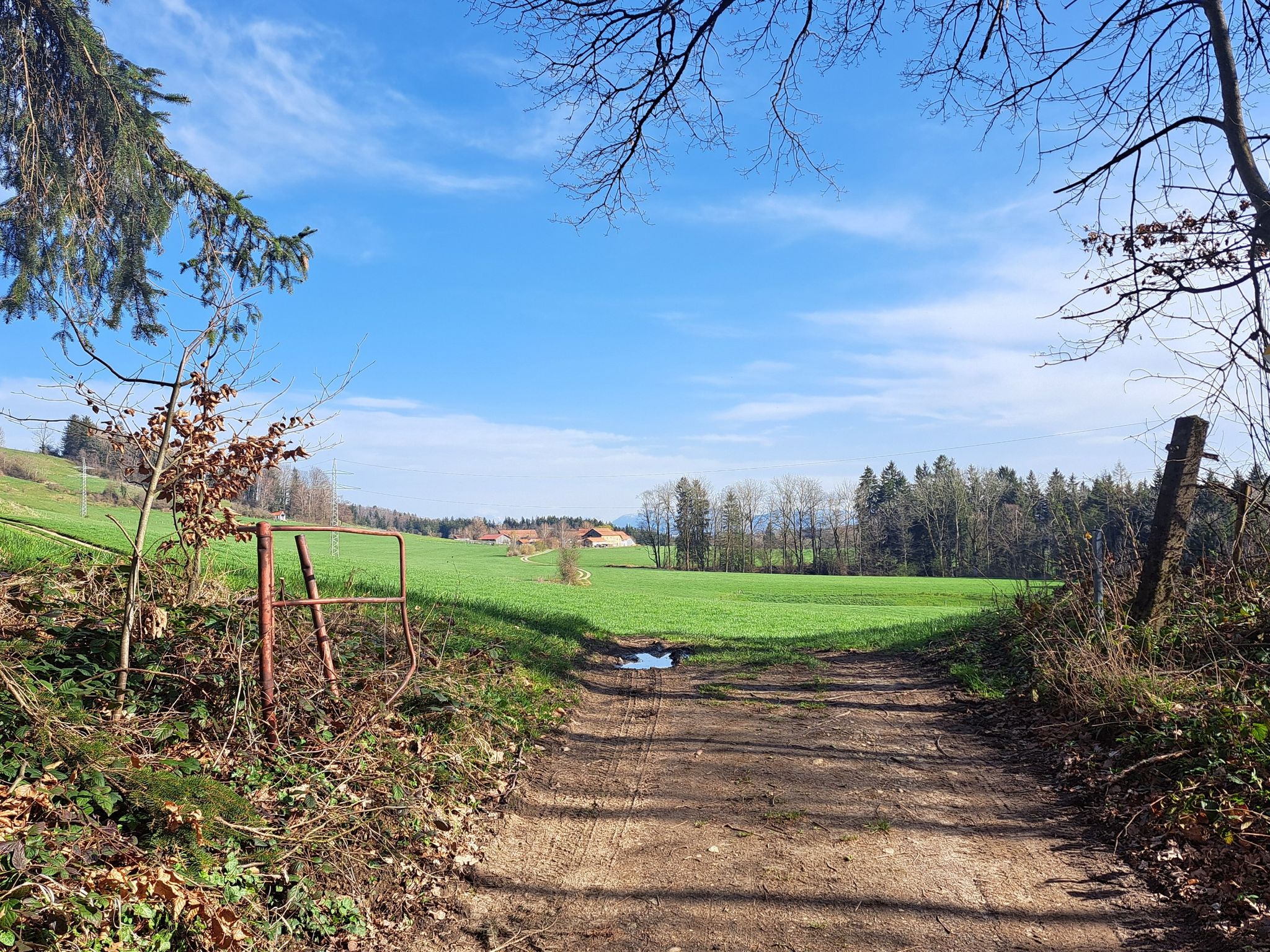 die Hochebene vor Maierhof öffnet sich