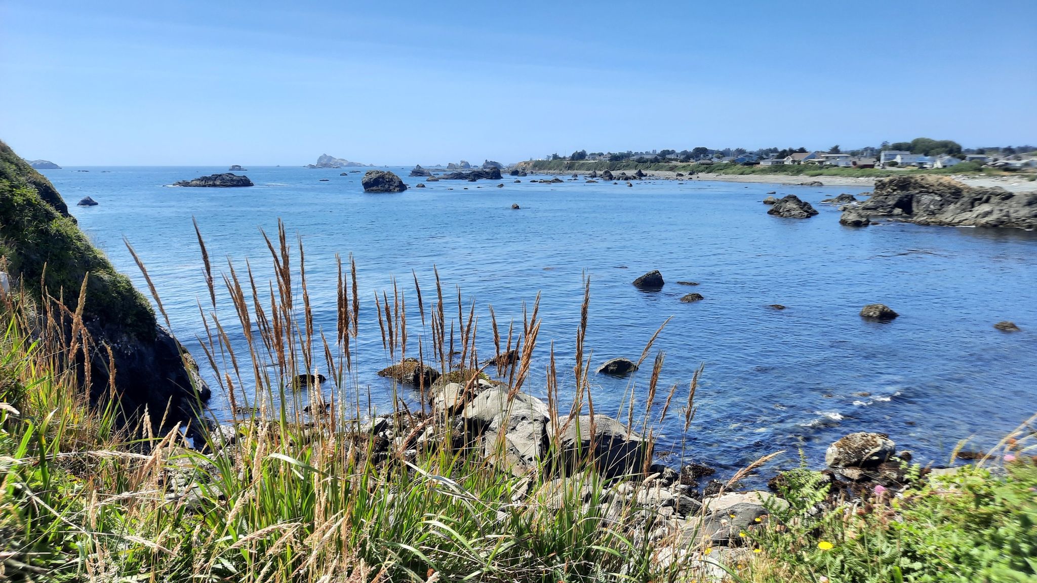 Bright sunny day over a rocky coastline with blue ocean and foreground grasses. - Battery Point Lighthouse