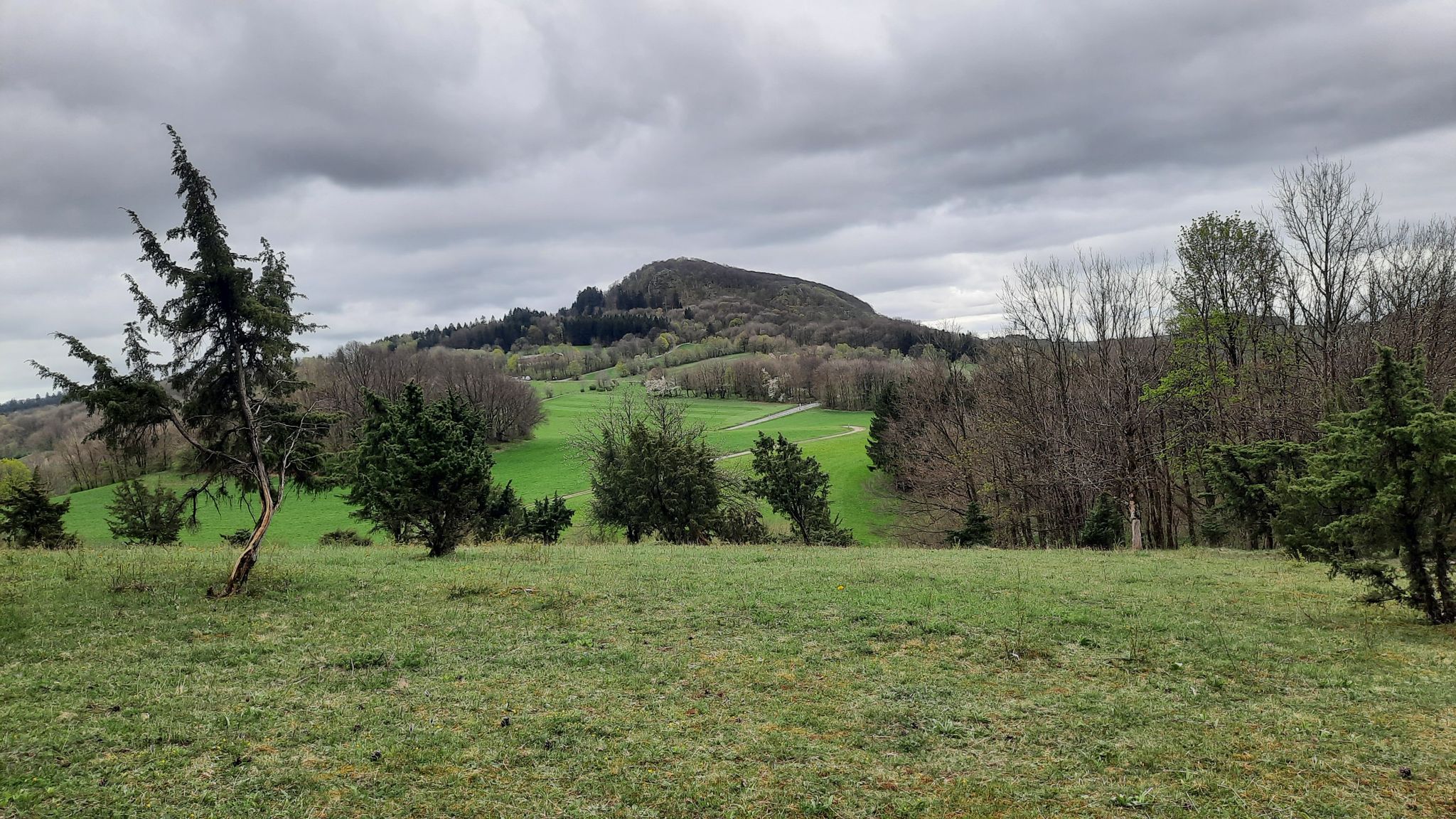 Blick zurück - Milseburg