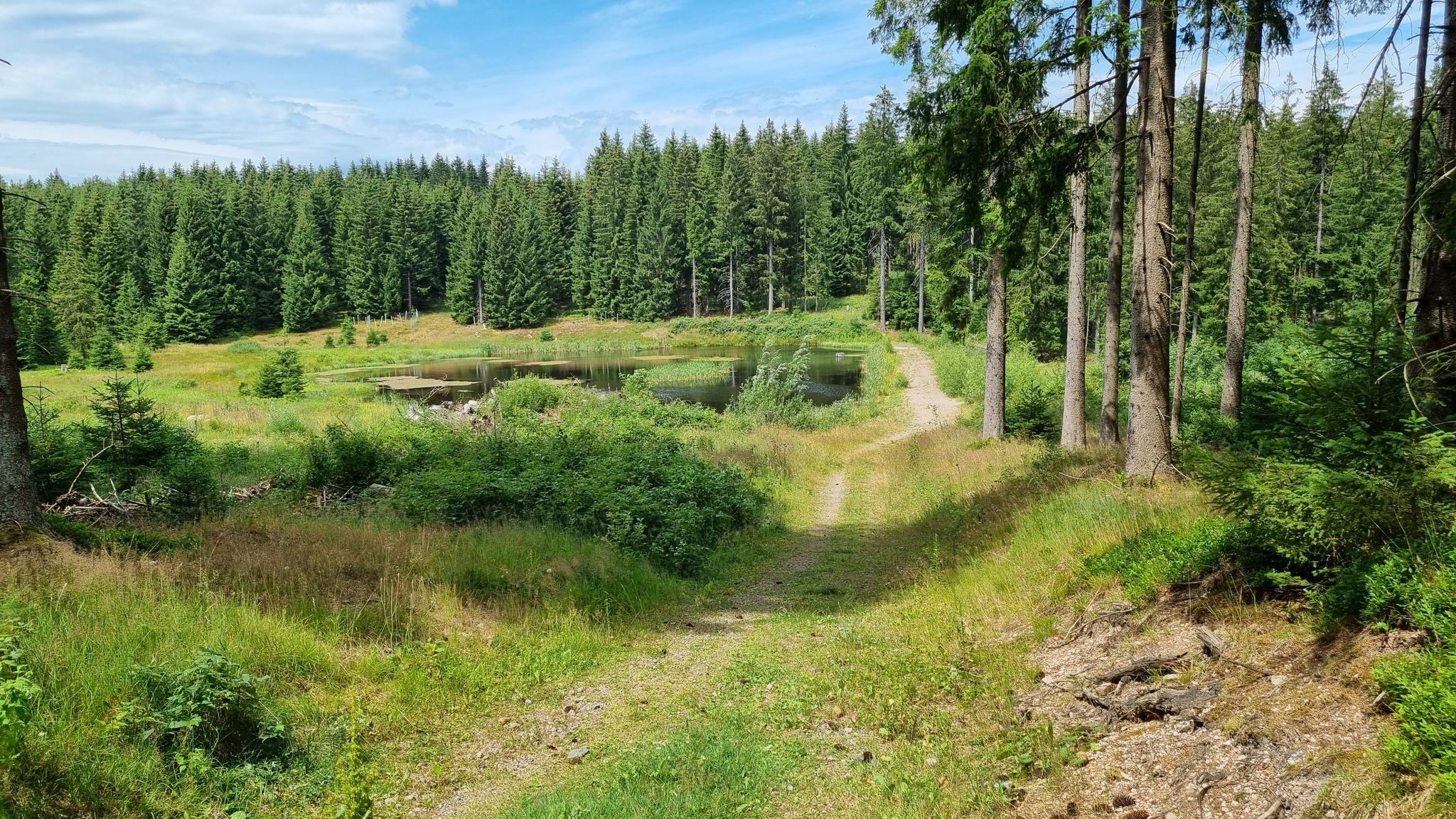 Ebertsteich