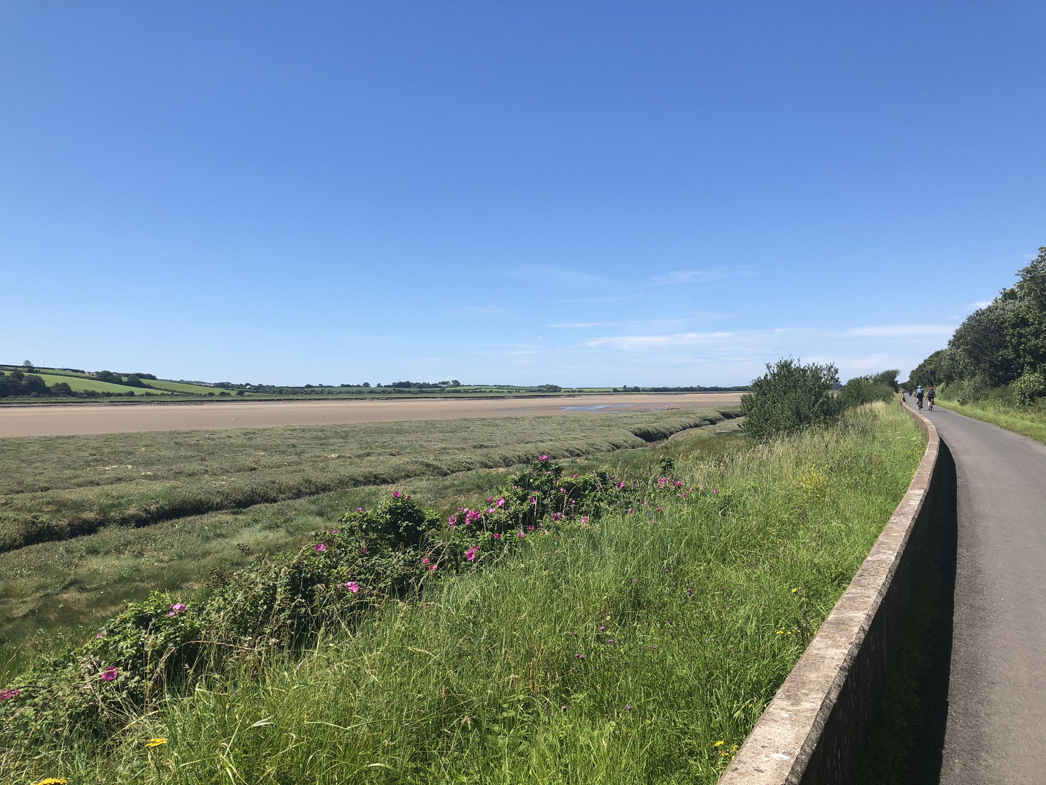 The Tarka Trail which runs alongside the River Taw