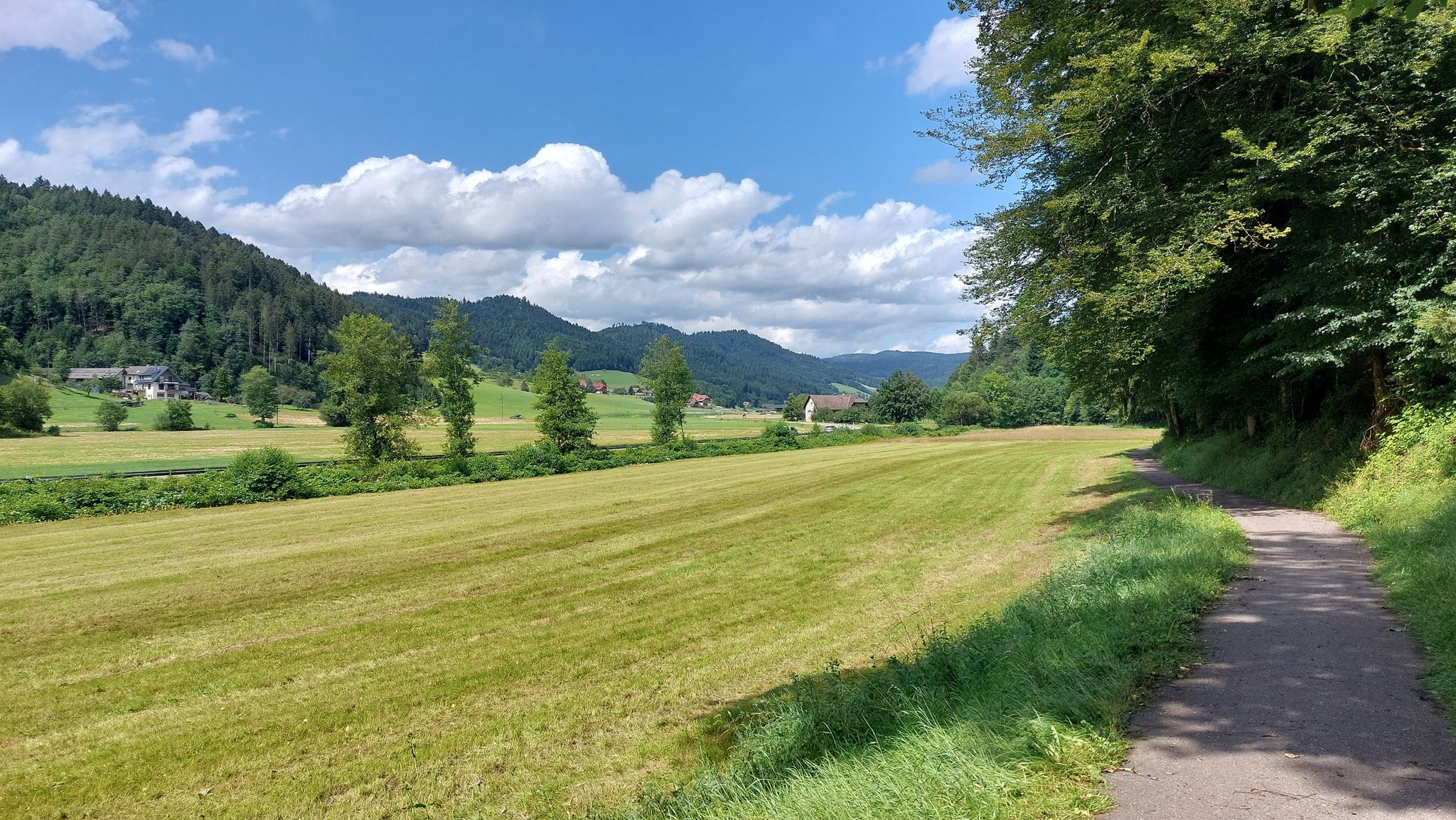Tal der Nordrach