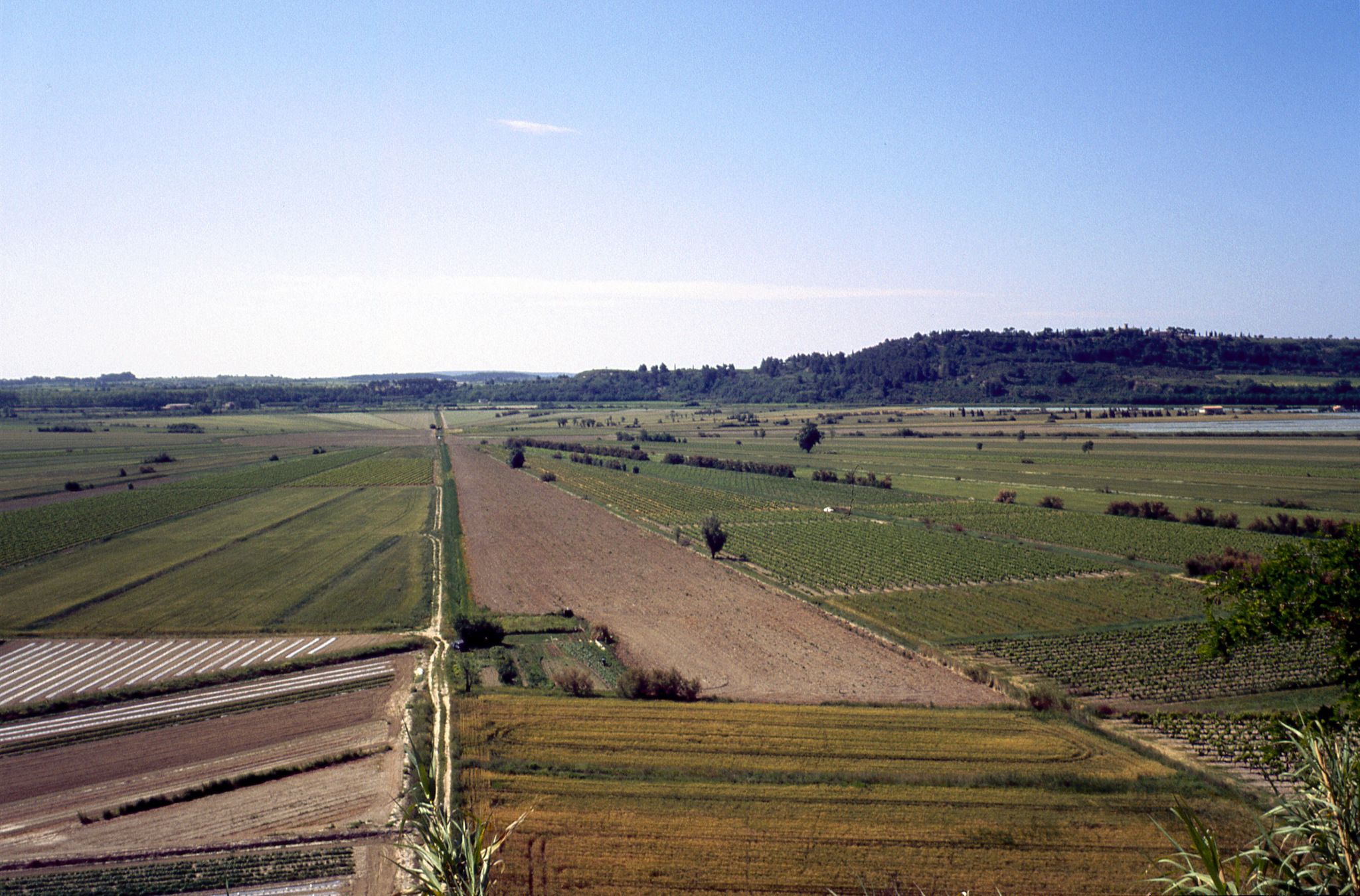 Trockengelegter l'etang de Mantady