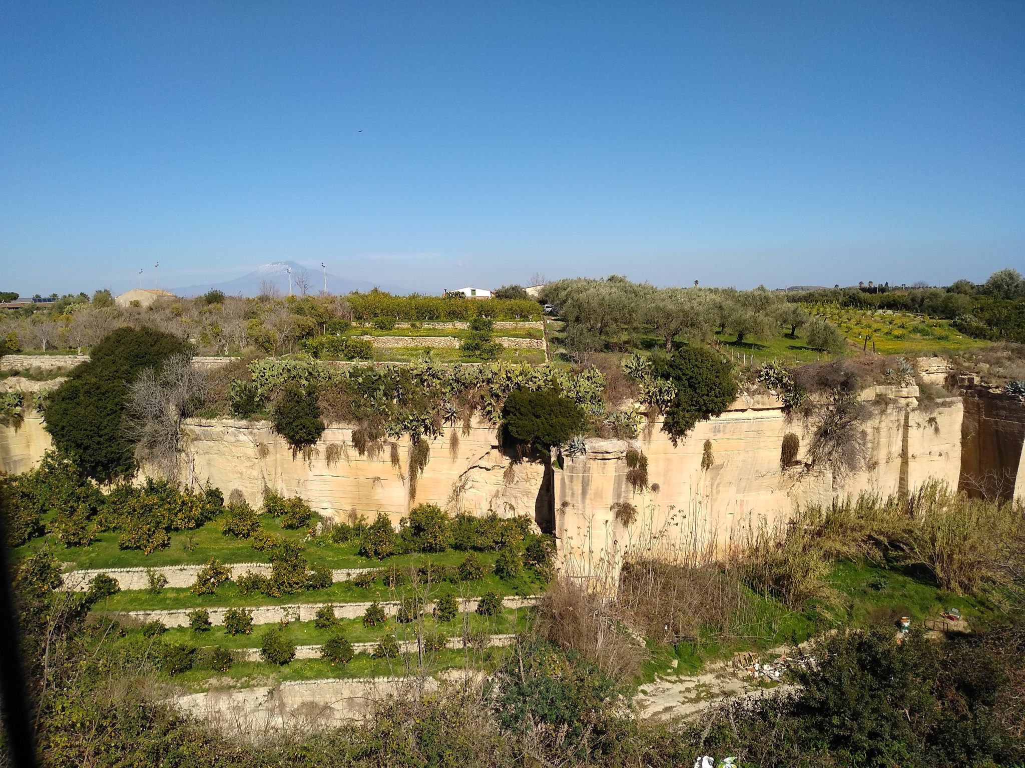 Cave di tufo dismesse e aranceti a terrazza in periferia di Scordia