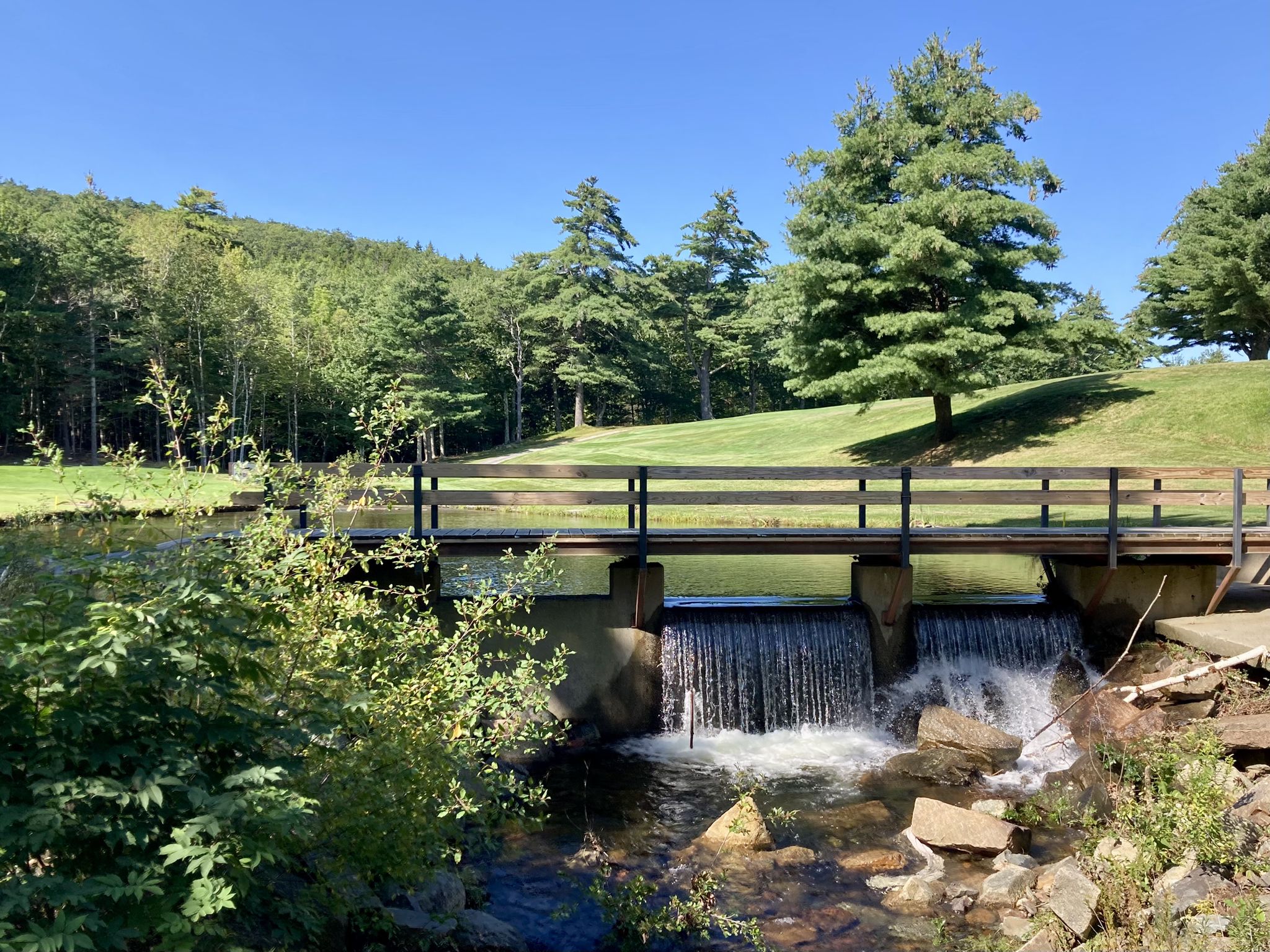 A wooden bridge spans a small waterfall with green trees and blue sky. - Great Meadow Loop Trail