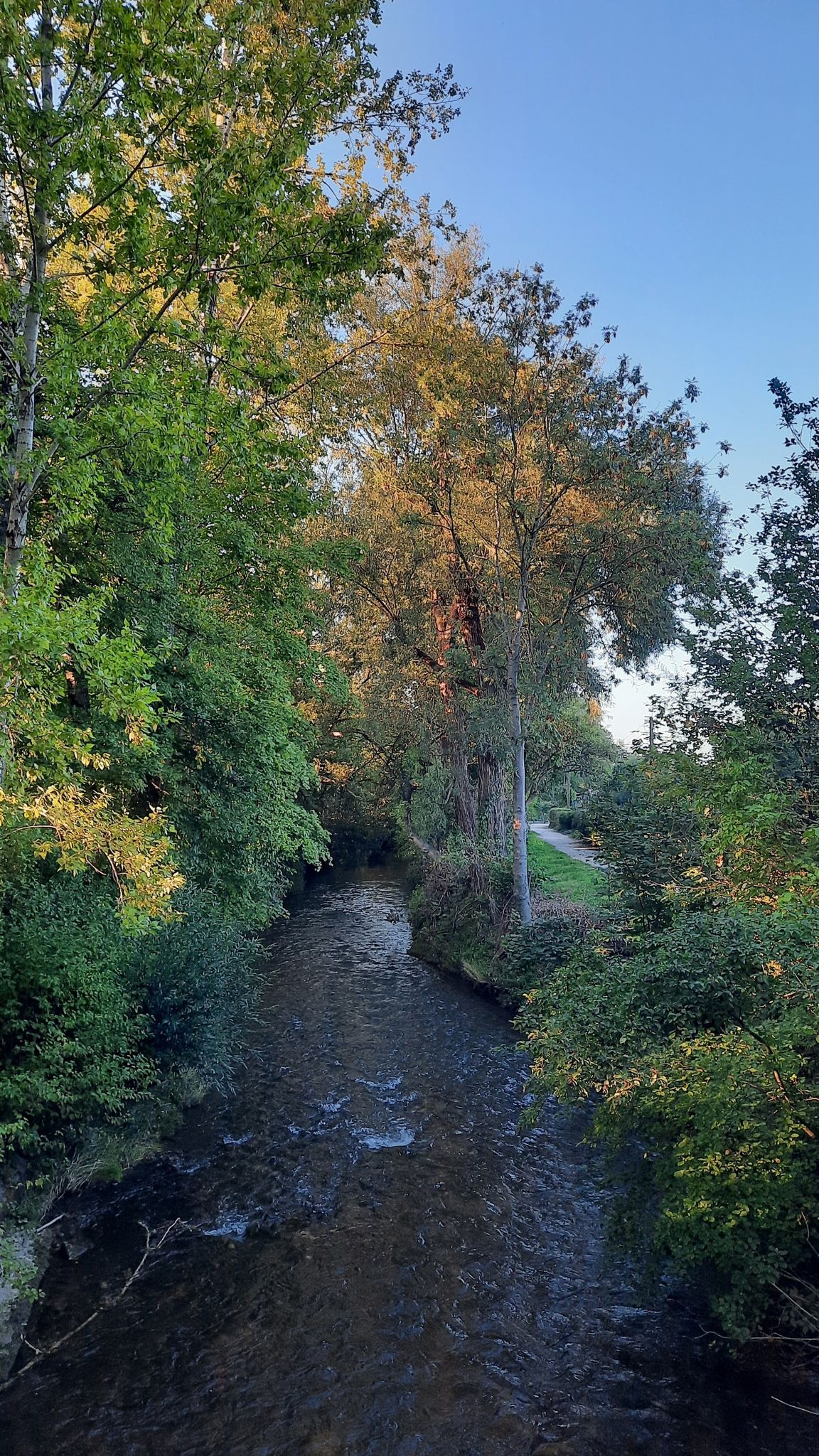 Fehlbach