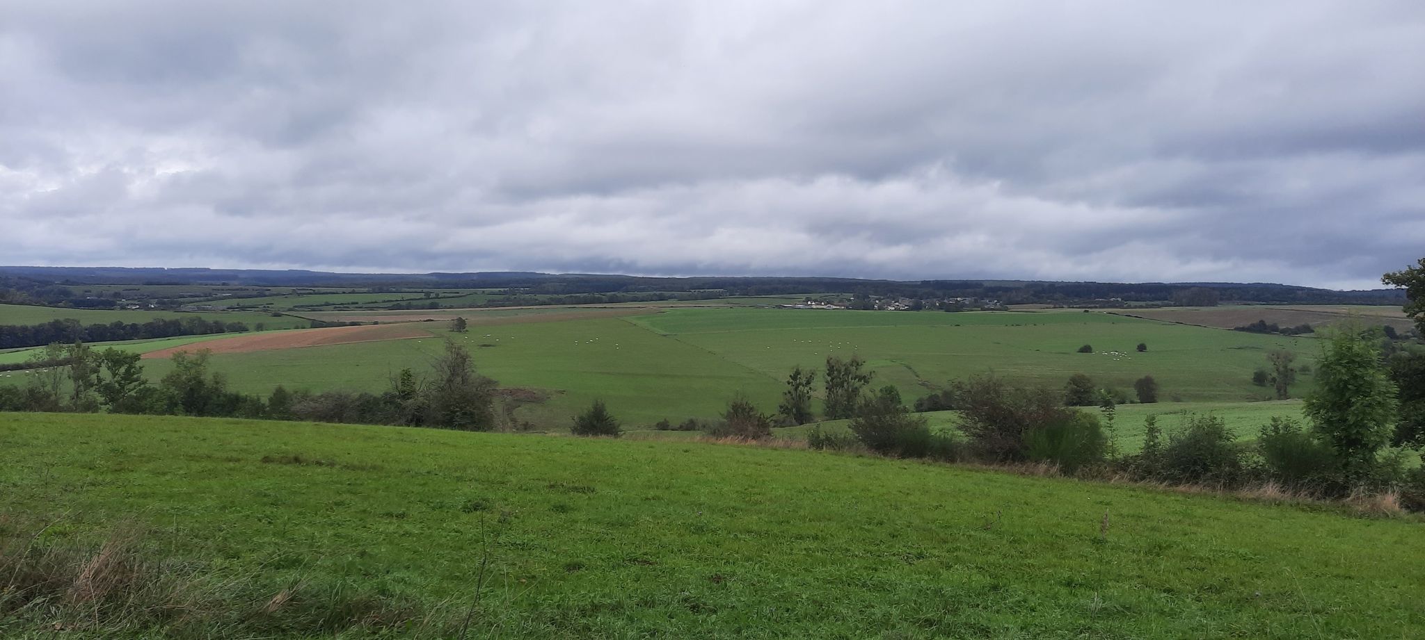 uitzicht op Illy