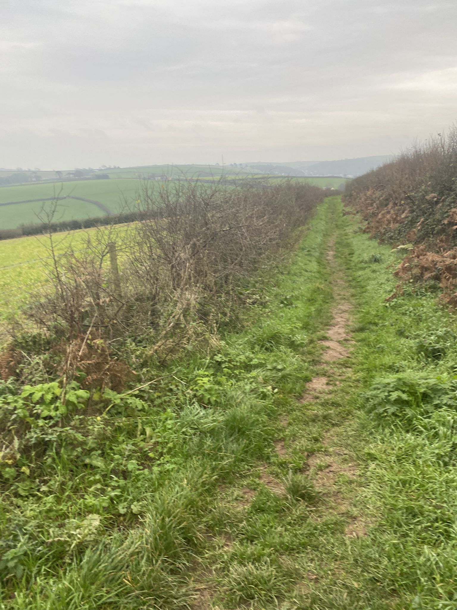The path to Nethway toll cottages 