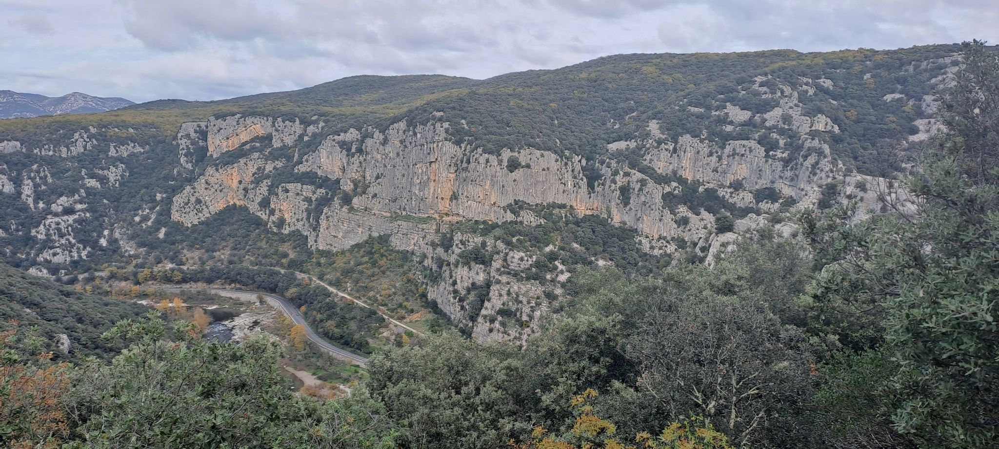 panorama
