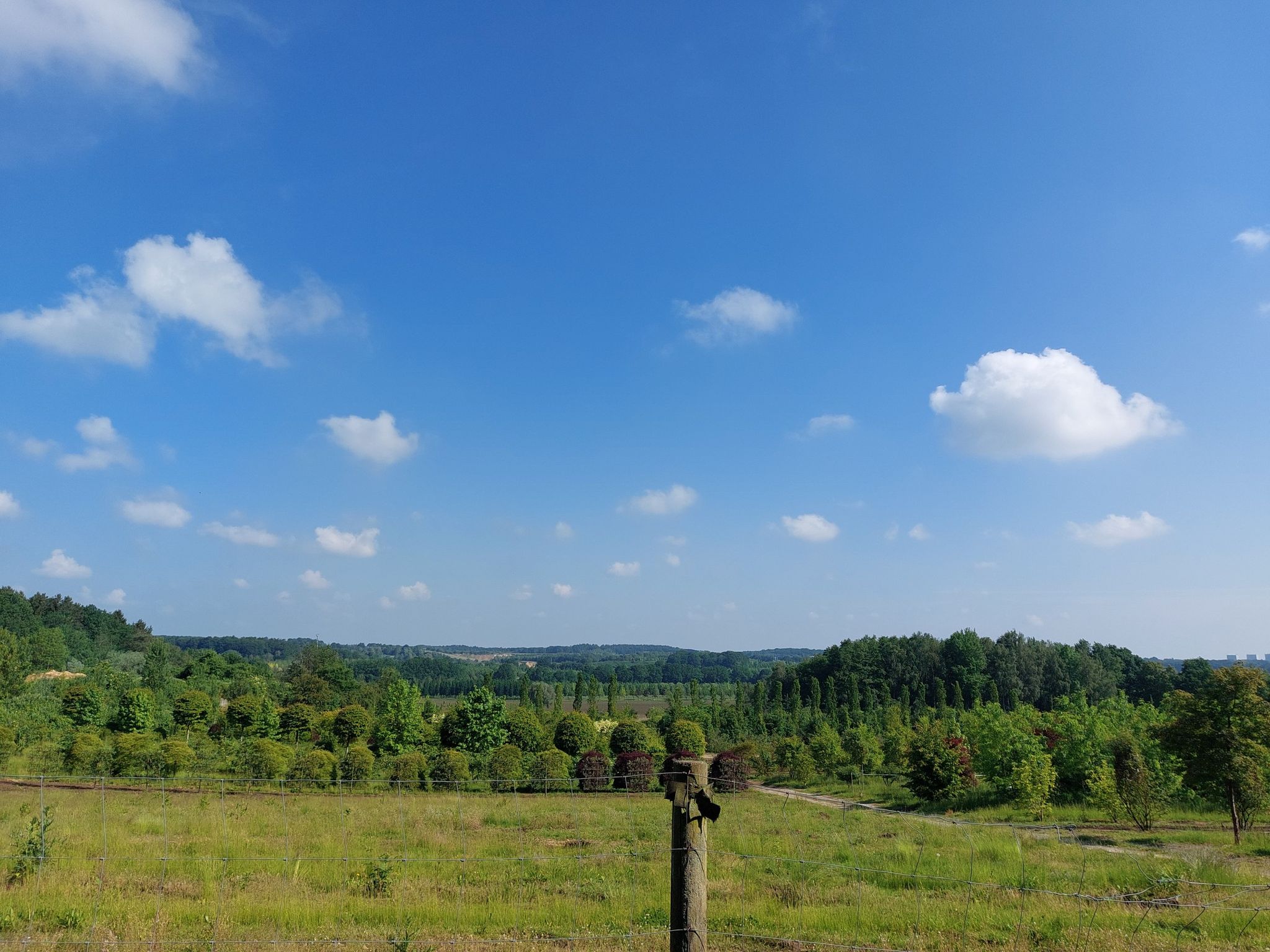 Einer von vielen schönen Ausblicken heute am Wegesrand