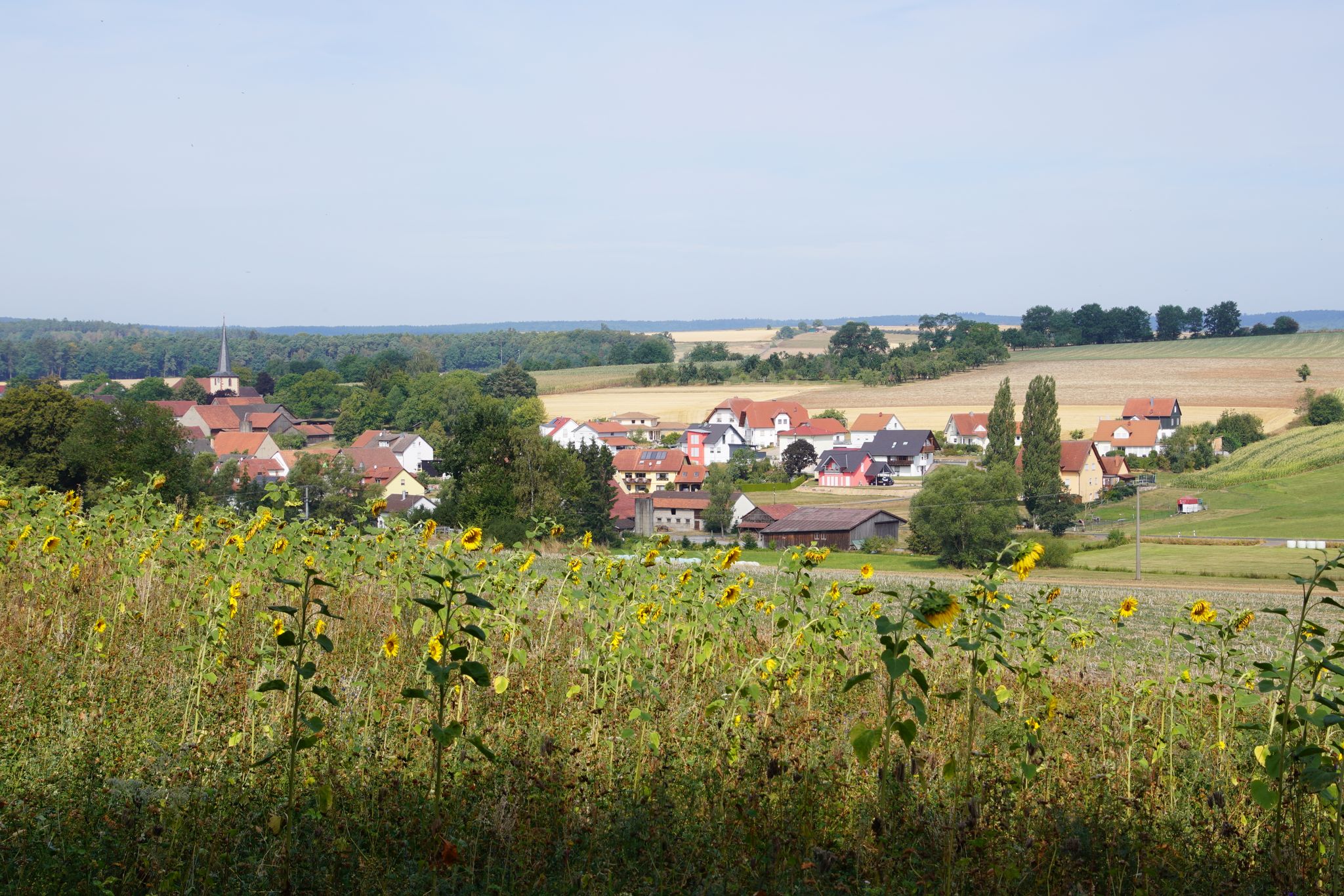 Blick auf Wartmannsroth