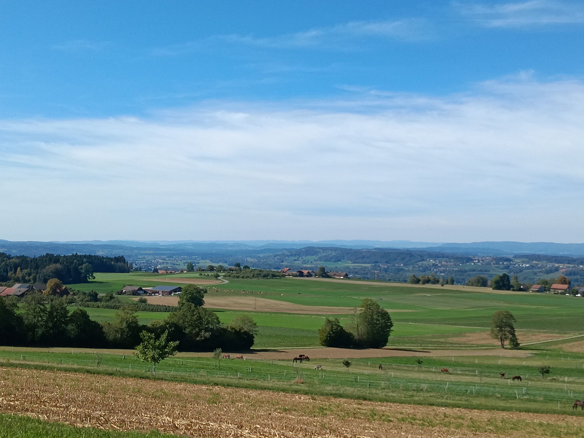 Panorama Thurtal