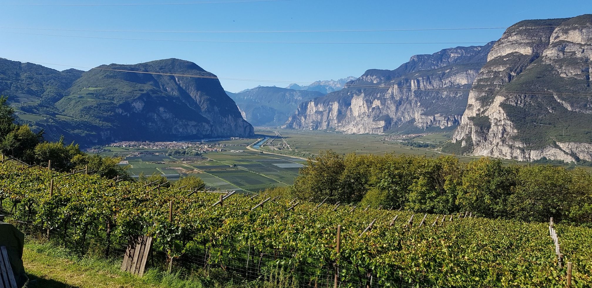 Blick nach Salurn