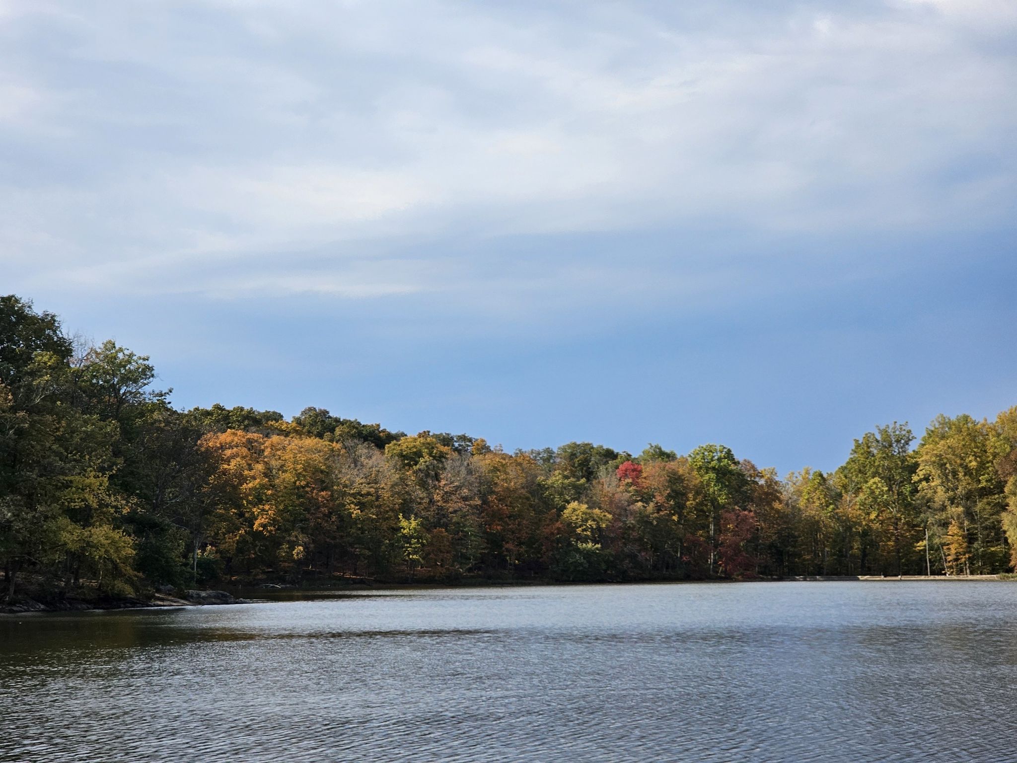 Calm lake surrounded by vibrant autumn trees under a cloudy sky. - Teatown Lake – Teatown Lake Boardwalk loop from Teatown Lake Reservation