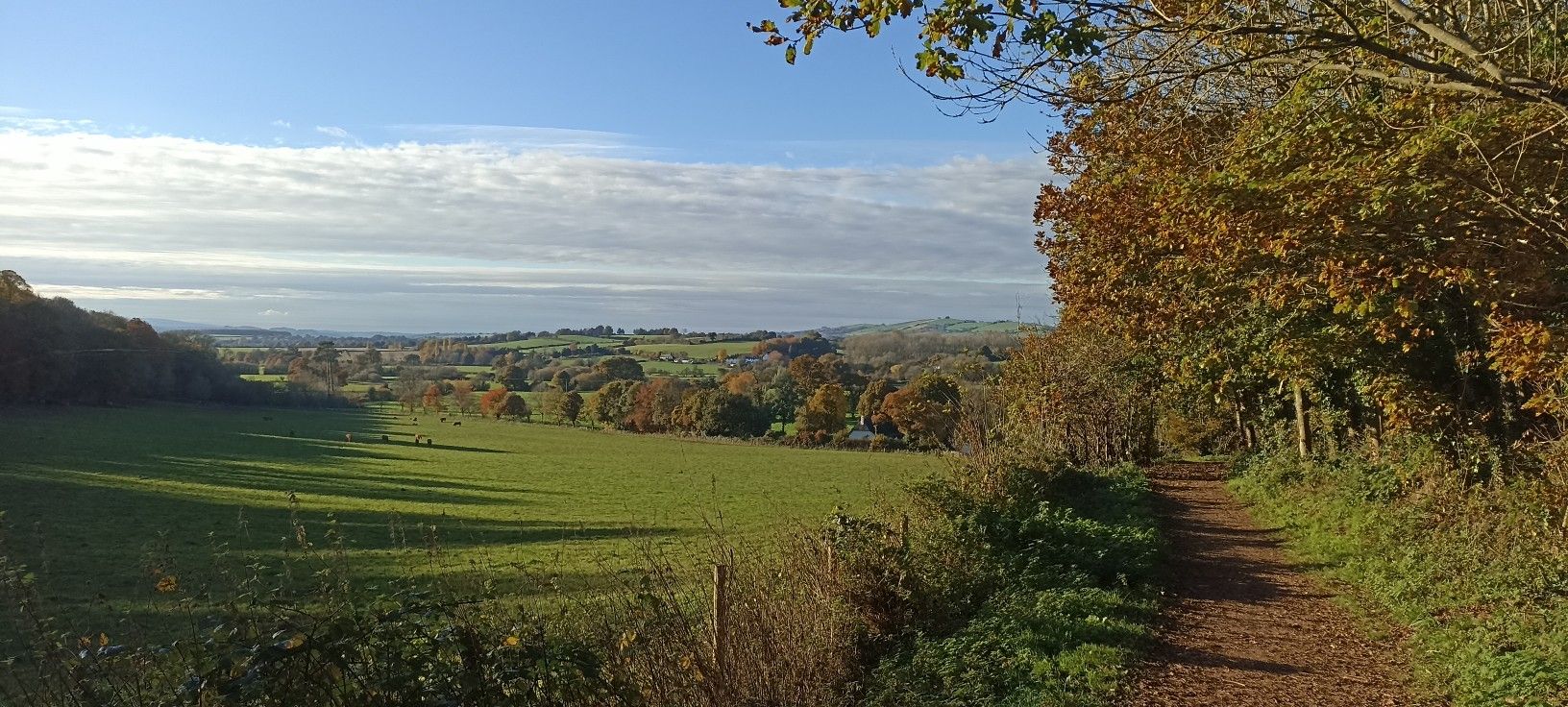 View from Killerton Park cycle track