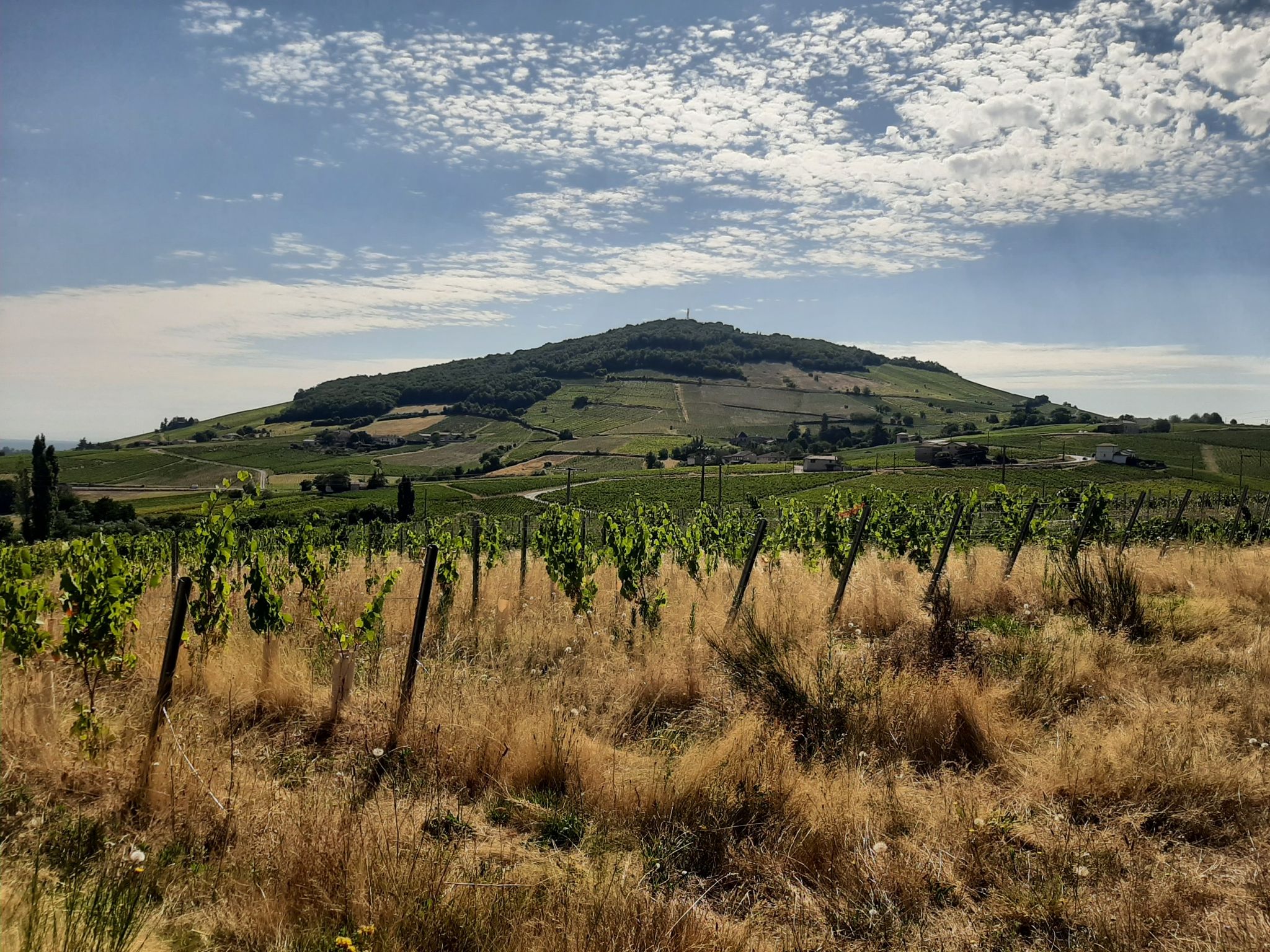 Mont Brouilly