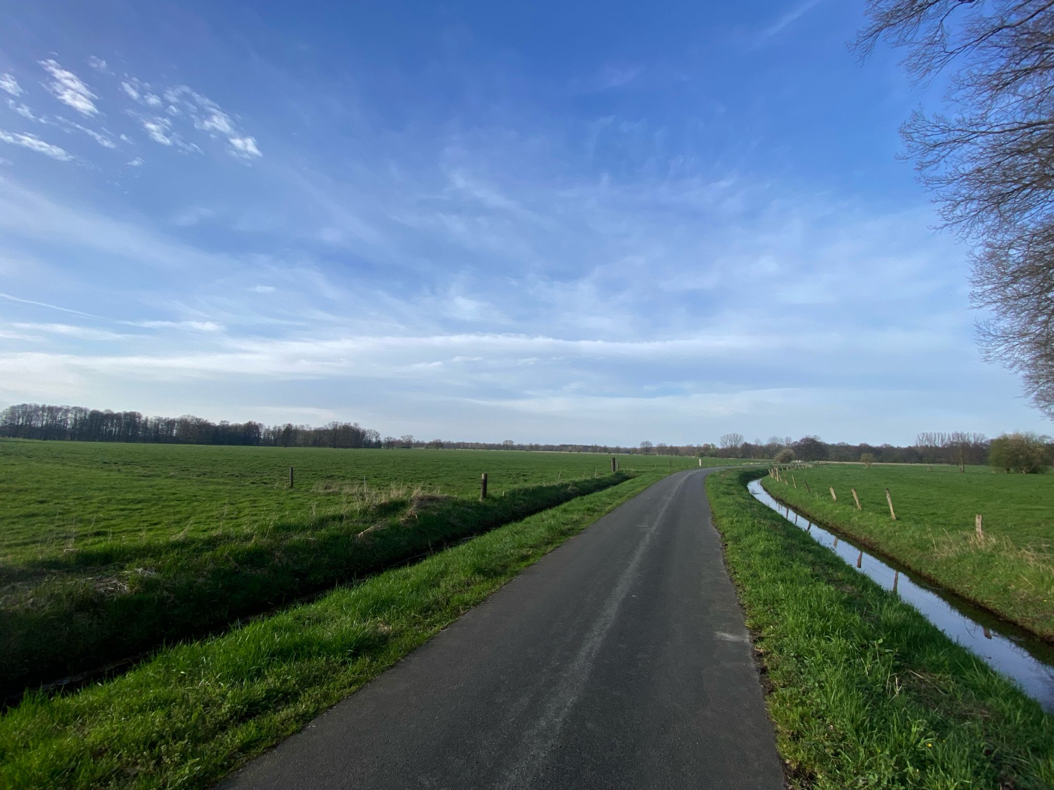 Schnelles Vorankommen auf gut ausbebautem Radweg