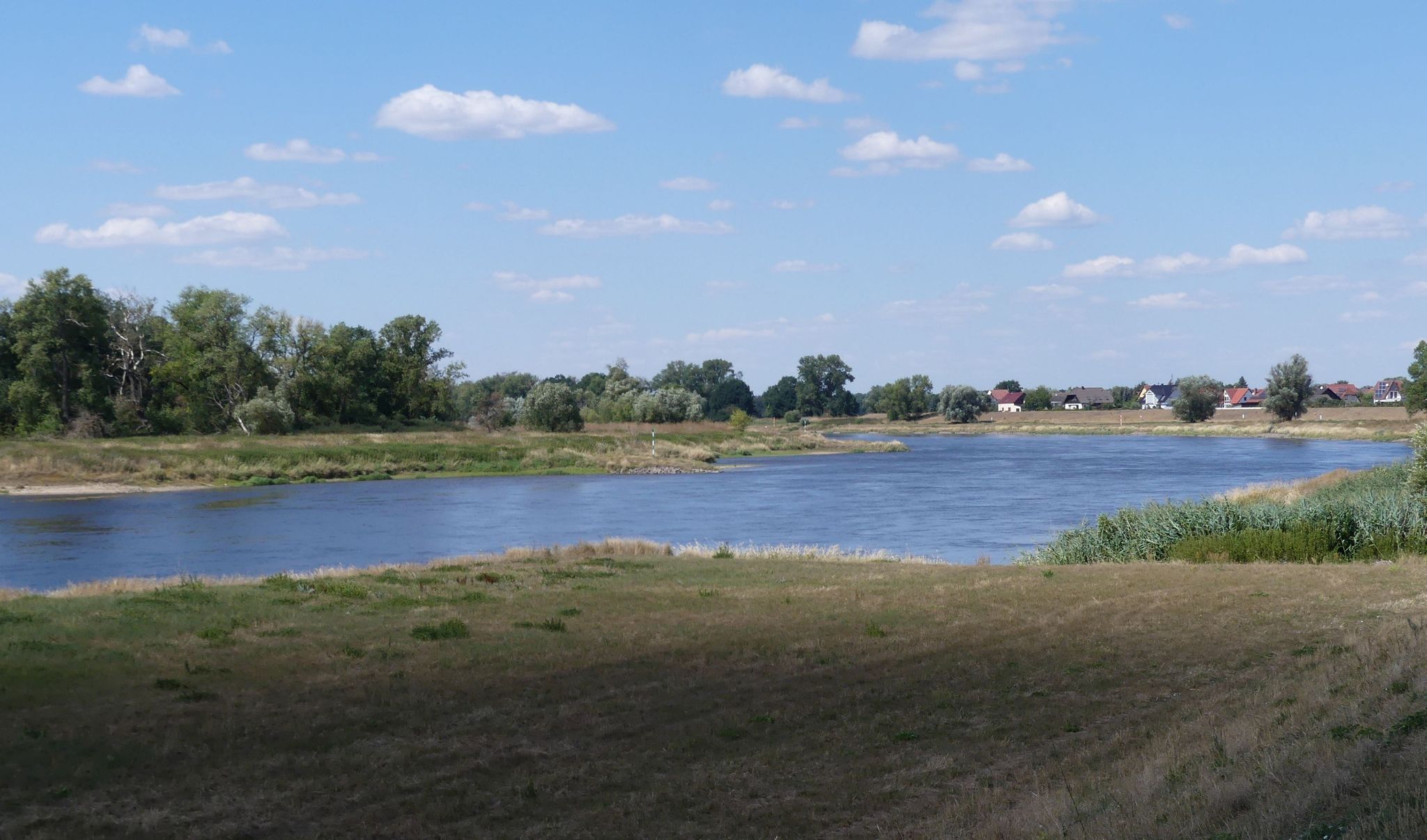Elbe