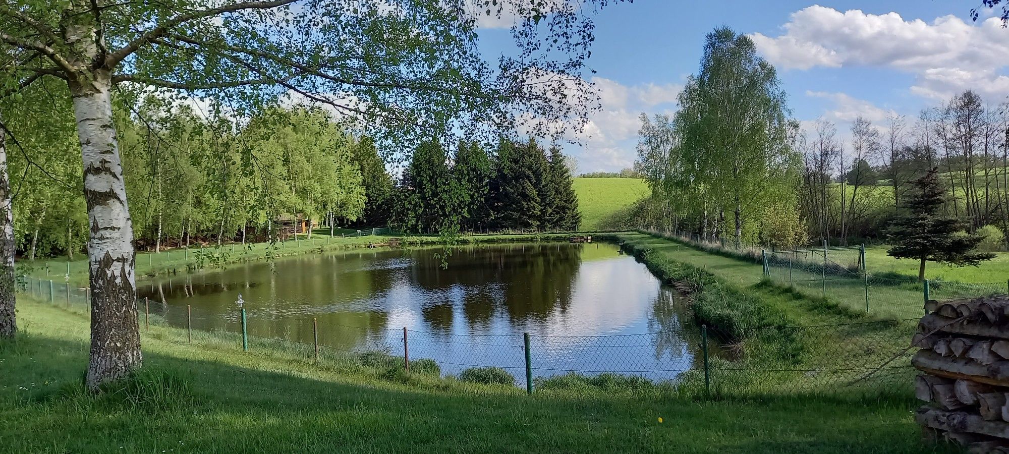 Teich bei Litschau 