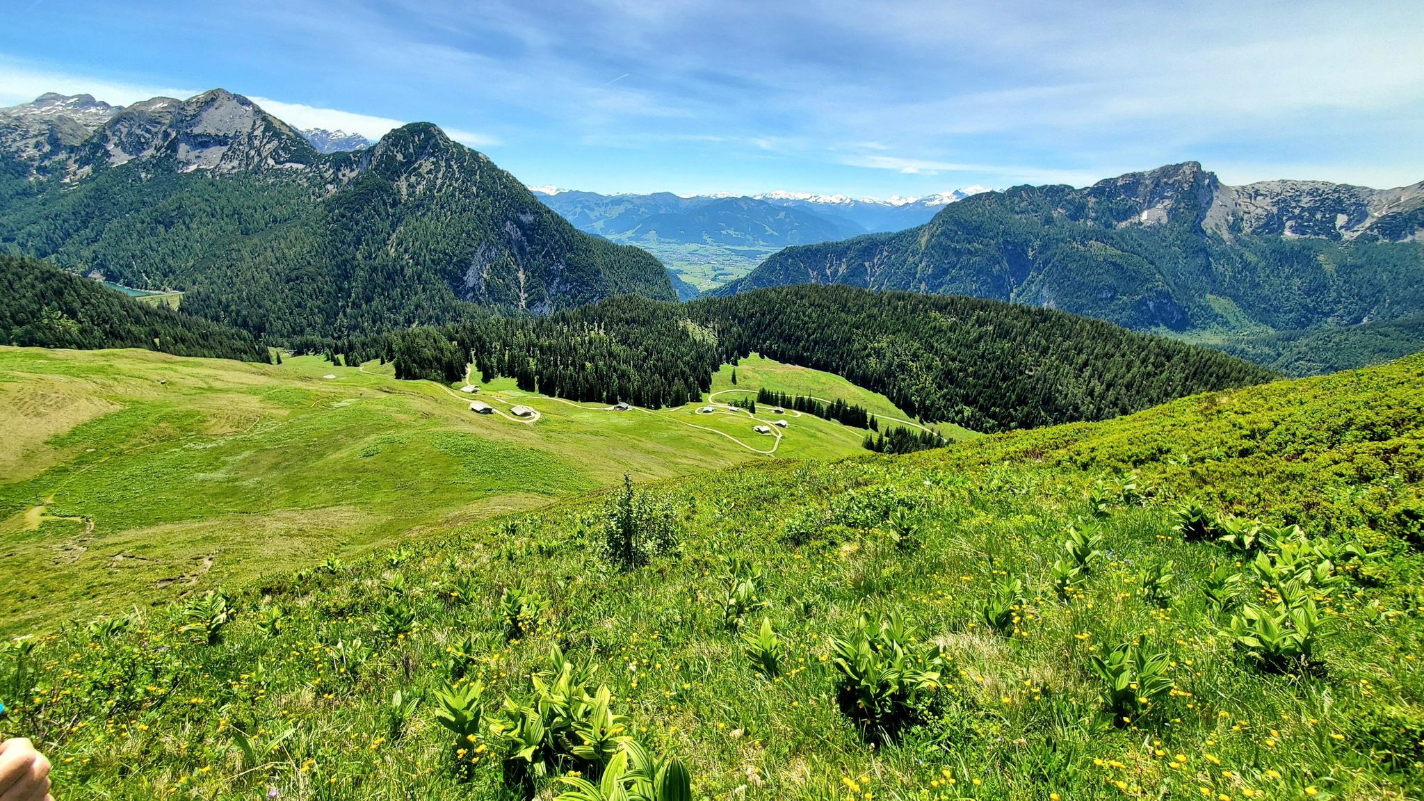 Über die Kallbrunnalmen schaut man raus nach Saalfelden