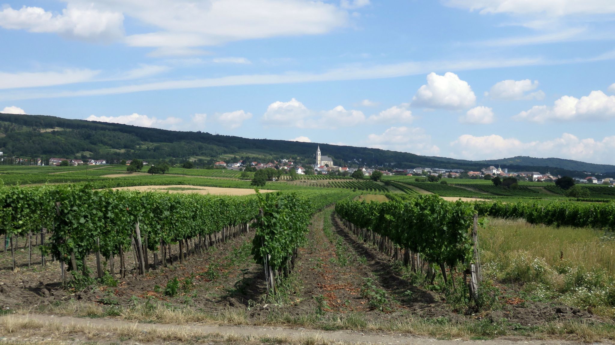 Kleinhöflein