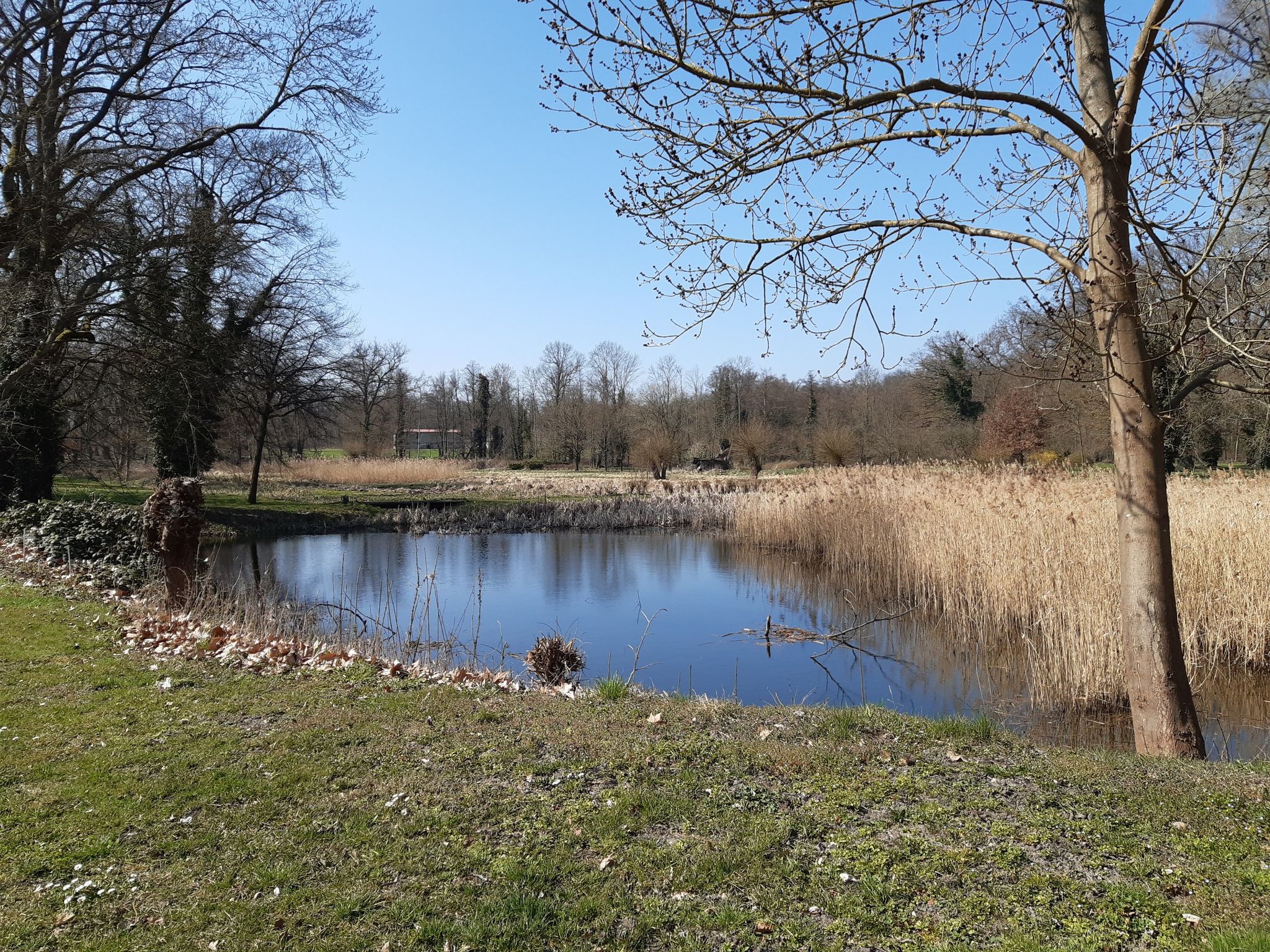 Schlosspark