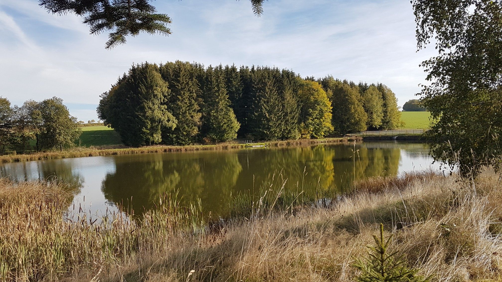 Lautenteich