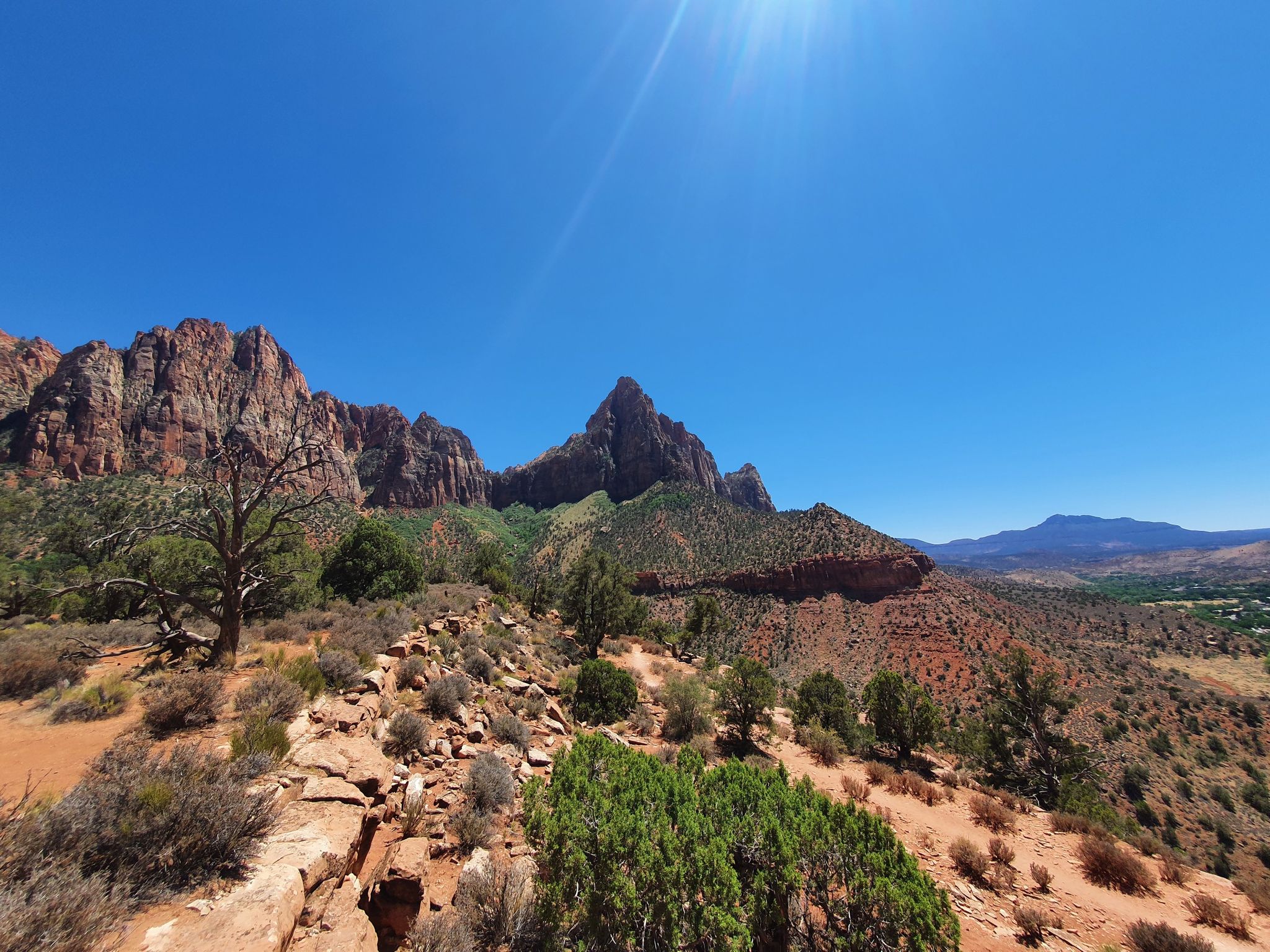 Sunny desert landscape with red rock formations, green trees, and a bright blue sky. - Watchman Trail