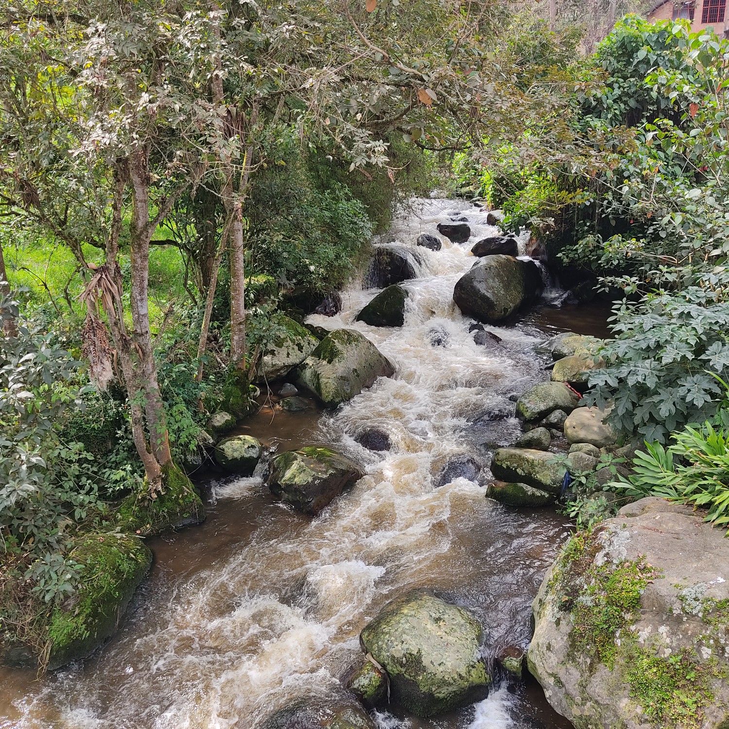 Rio Bosque - Pasca