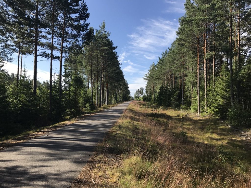 Der Radweg ist mal eine Ansage. 