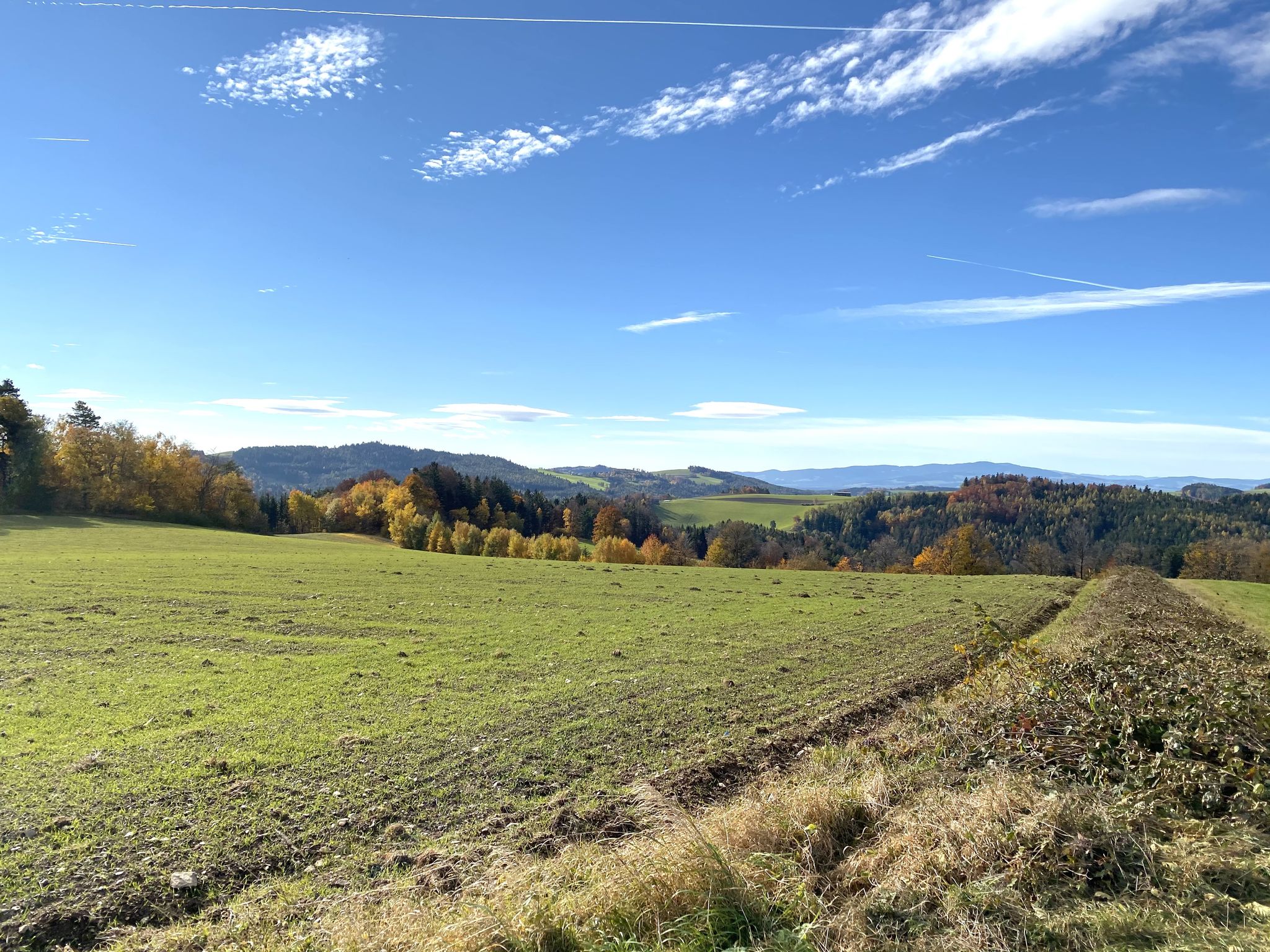 schöne Landschaft