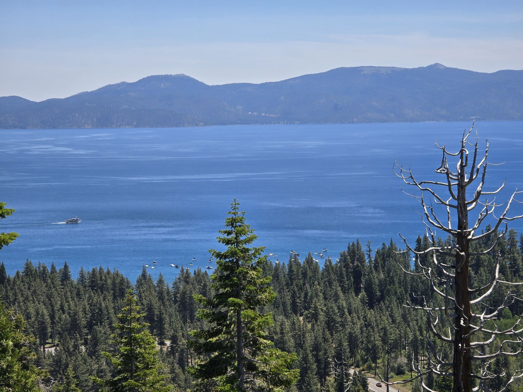 Distant blue lake and mountains seen over a dense pine forest. - Tahoe Rim Trail and Mount Watson Loop