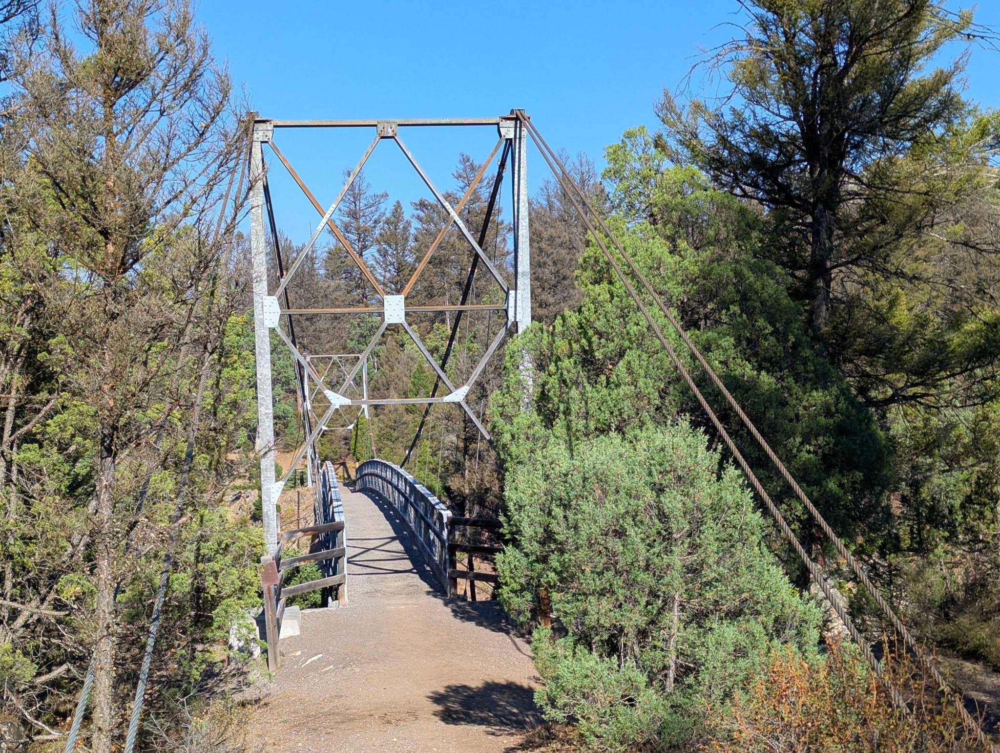 A metal suspension bridge over a path, surrounded by green trees. - Hellroaring Creek Trail