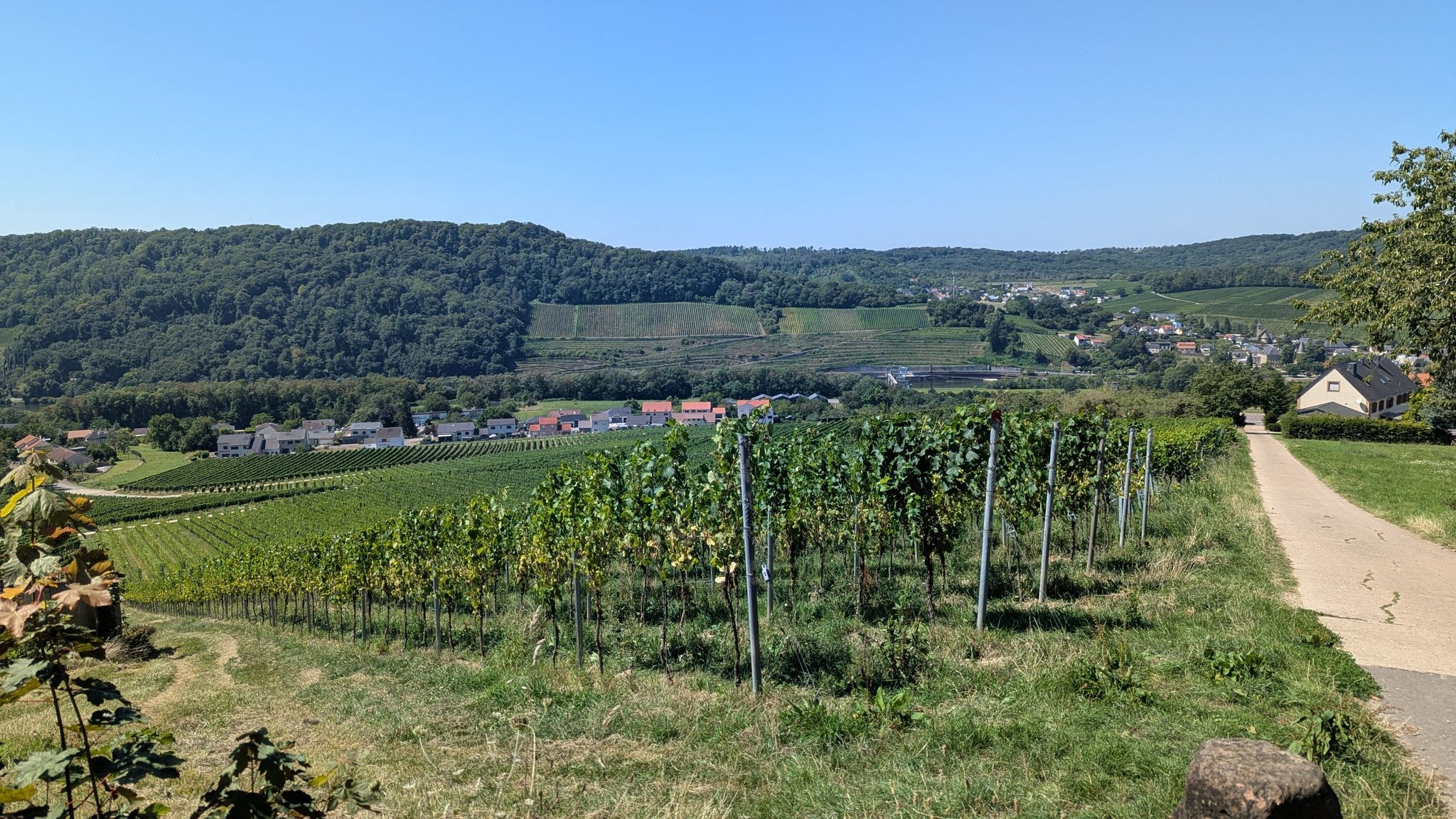 Drei-Länder-Blick: links Frankreich, rechts hinten Luxemburg, rechts vorne Deutschland